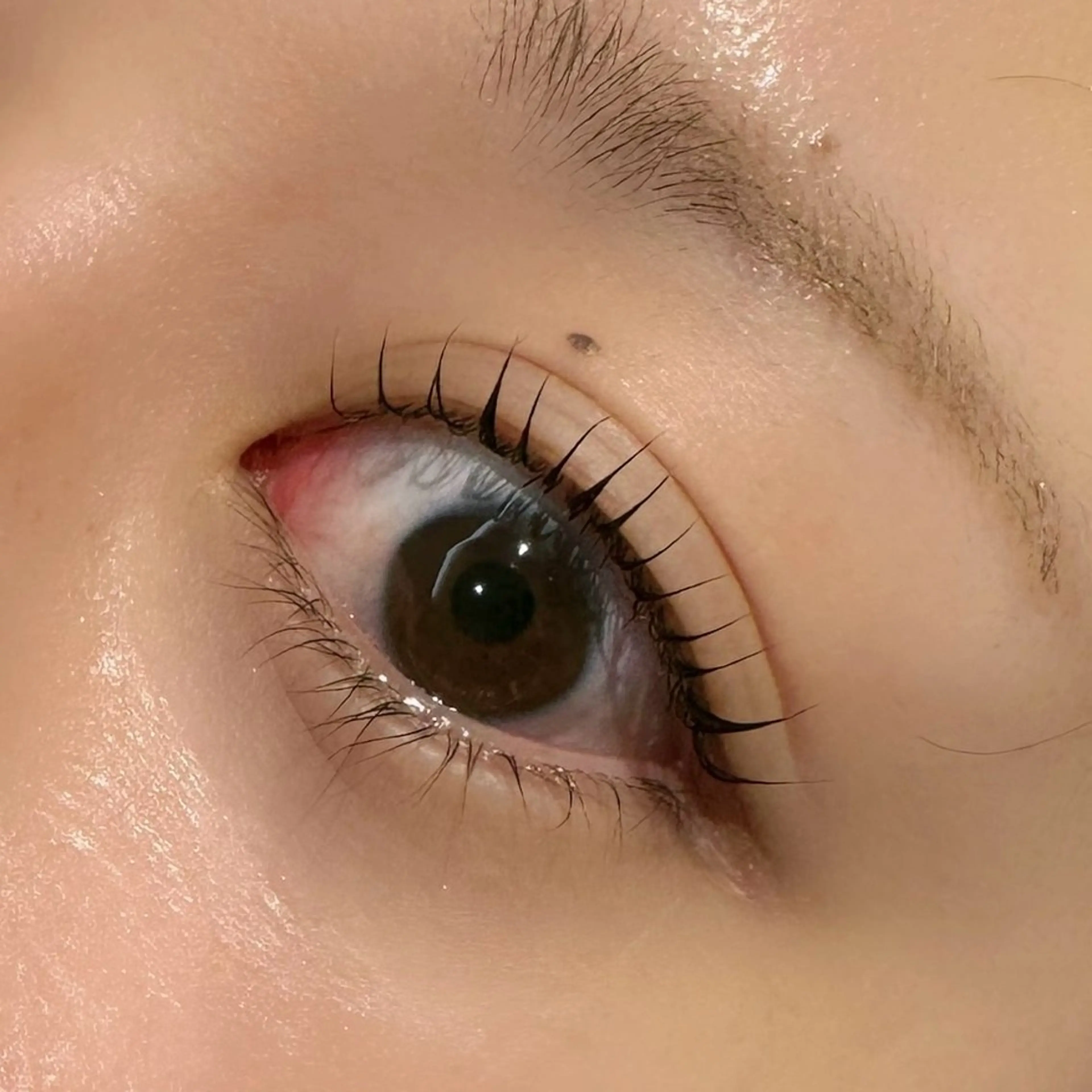 マツエク・マツパ il Anng 伊藤  妃那のマツエク・マツパデザイン