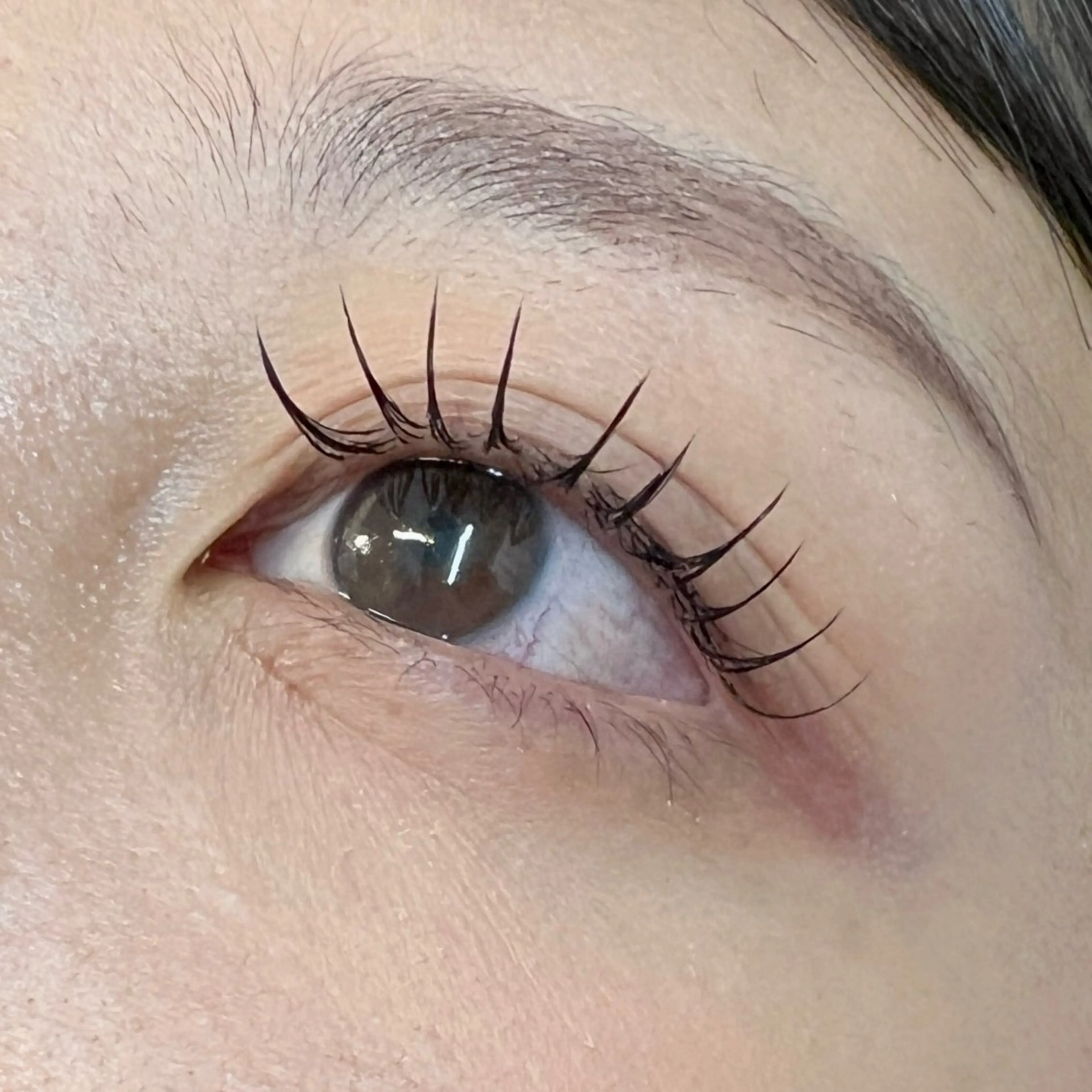 マツエク・マツパ 束感まつ毛 フラットラッシュ ナチュラル マツエク Maria 🫧のマツエク・マツパデザイン