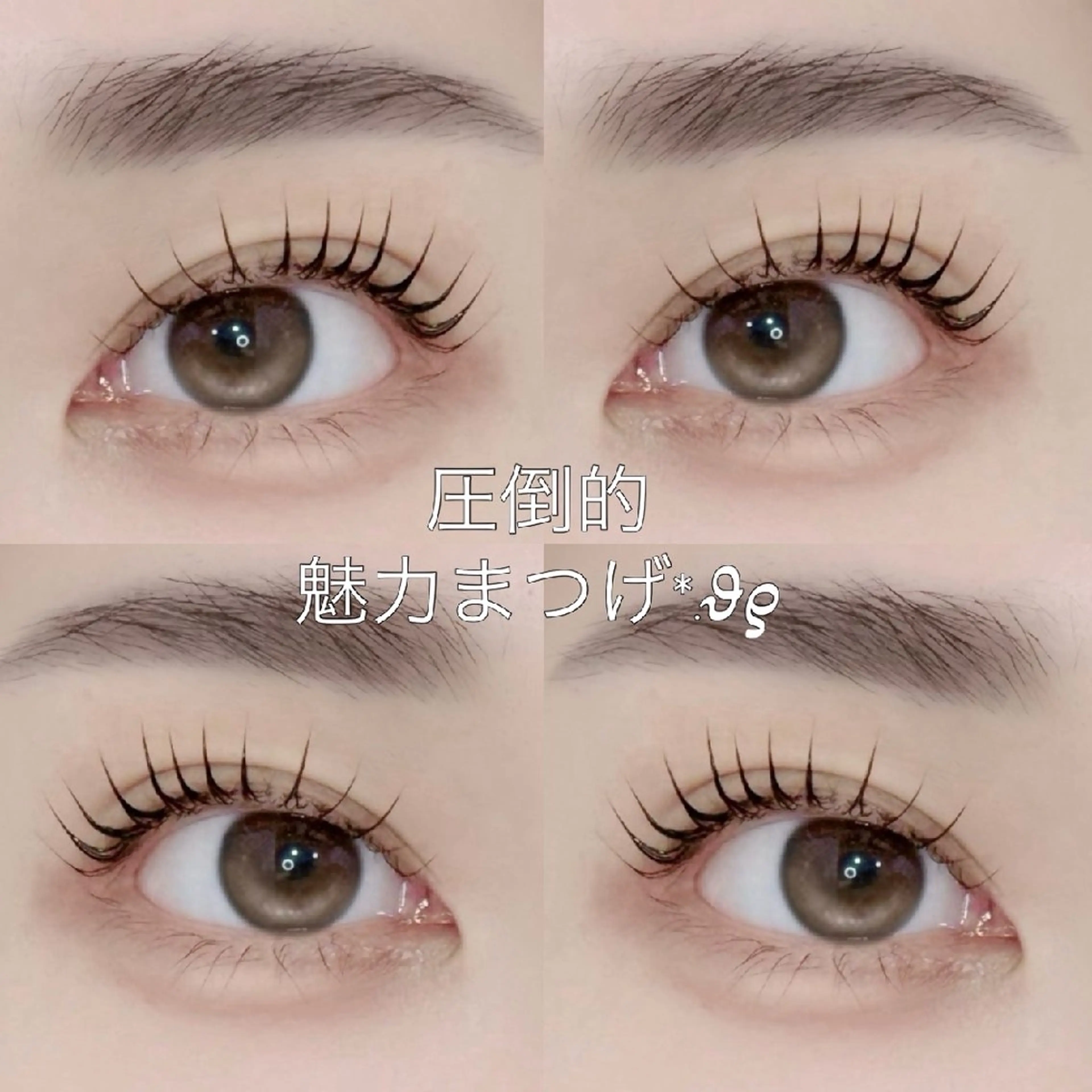 マツエク・マツパ 韓国風マツエク パリジェンヌラッシュリフト まつげパーマ 原宿まつげパーマ/  眉｜マツエク｜YUのマツエク・マツパデザイン