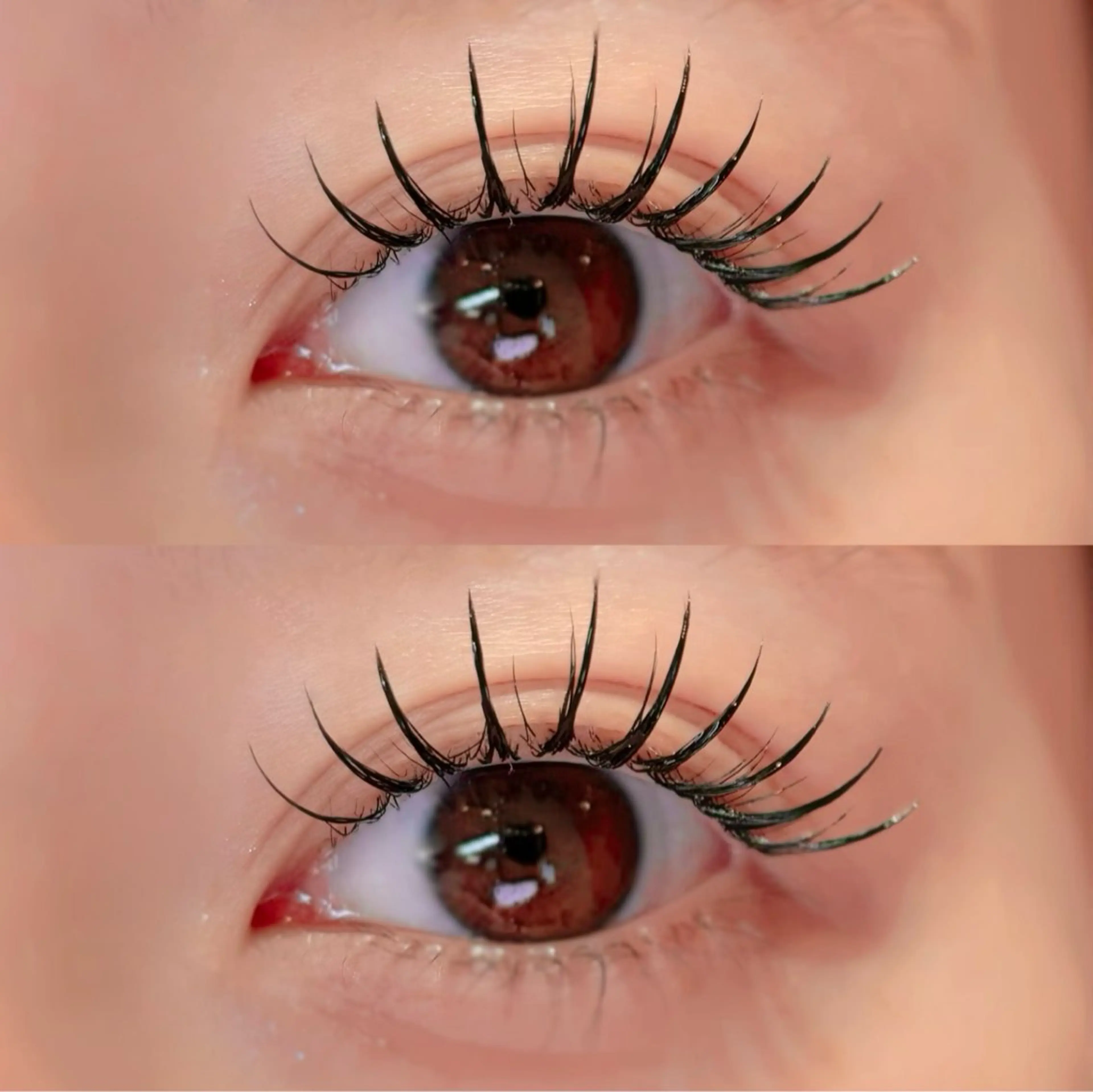 パリエク100本(リピーター様+¥1500)の写真