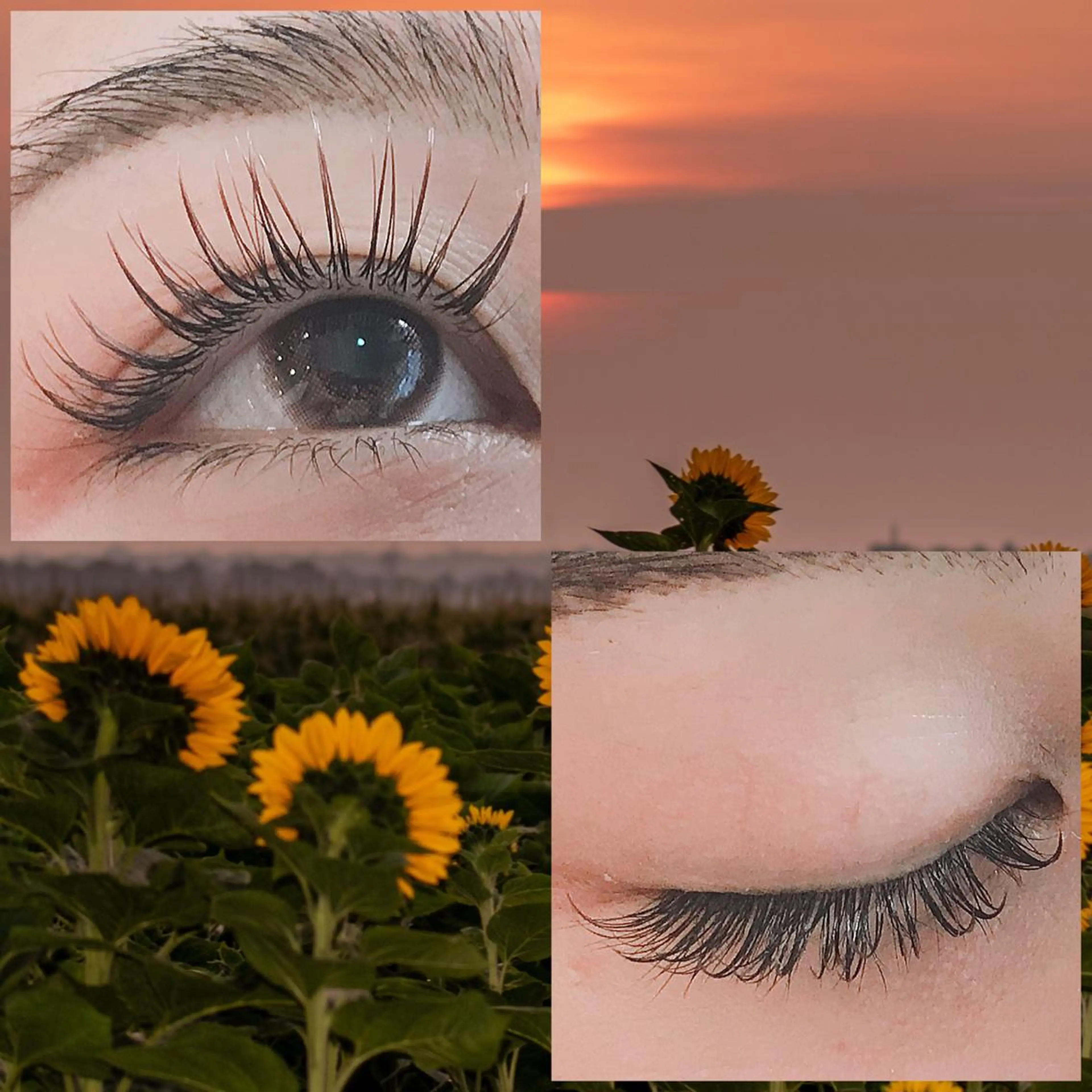 マツエク・マツパ 付け放題 フラットラッシュ Raviliss 武田のマツエク・マツパデザイン