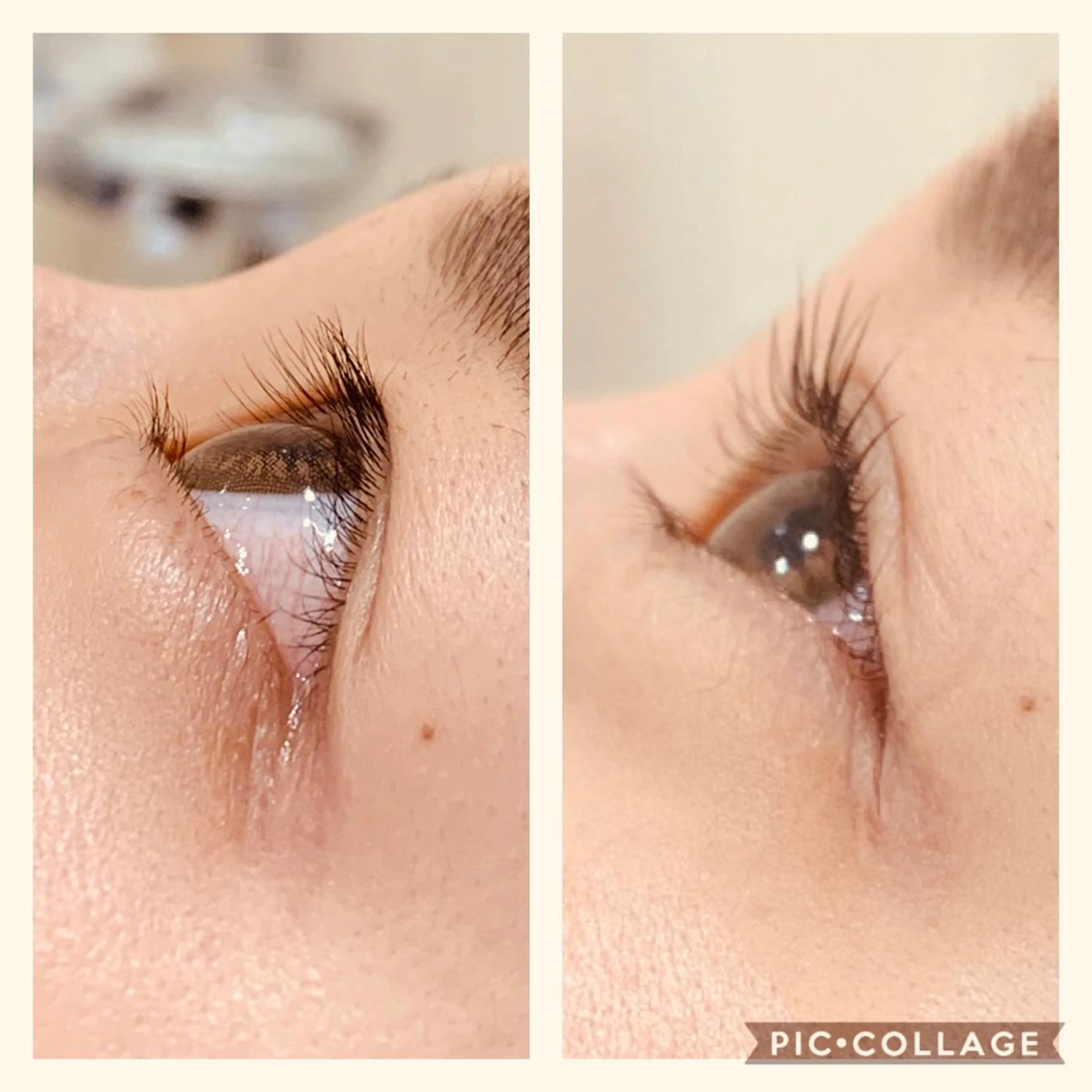 マツエク・マツパ 一重×まつ毛パーマ Daisy hair eyelashのマツエク・マツパデザイン