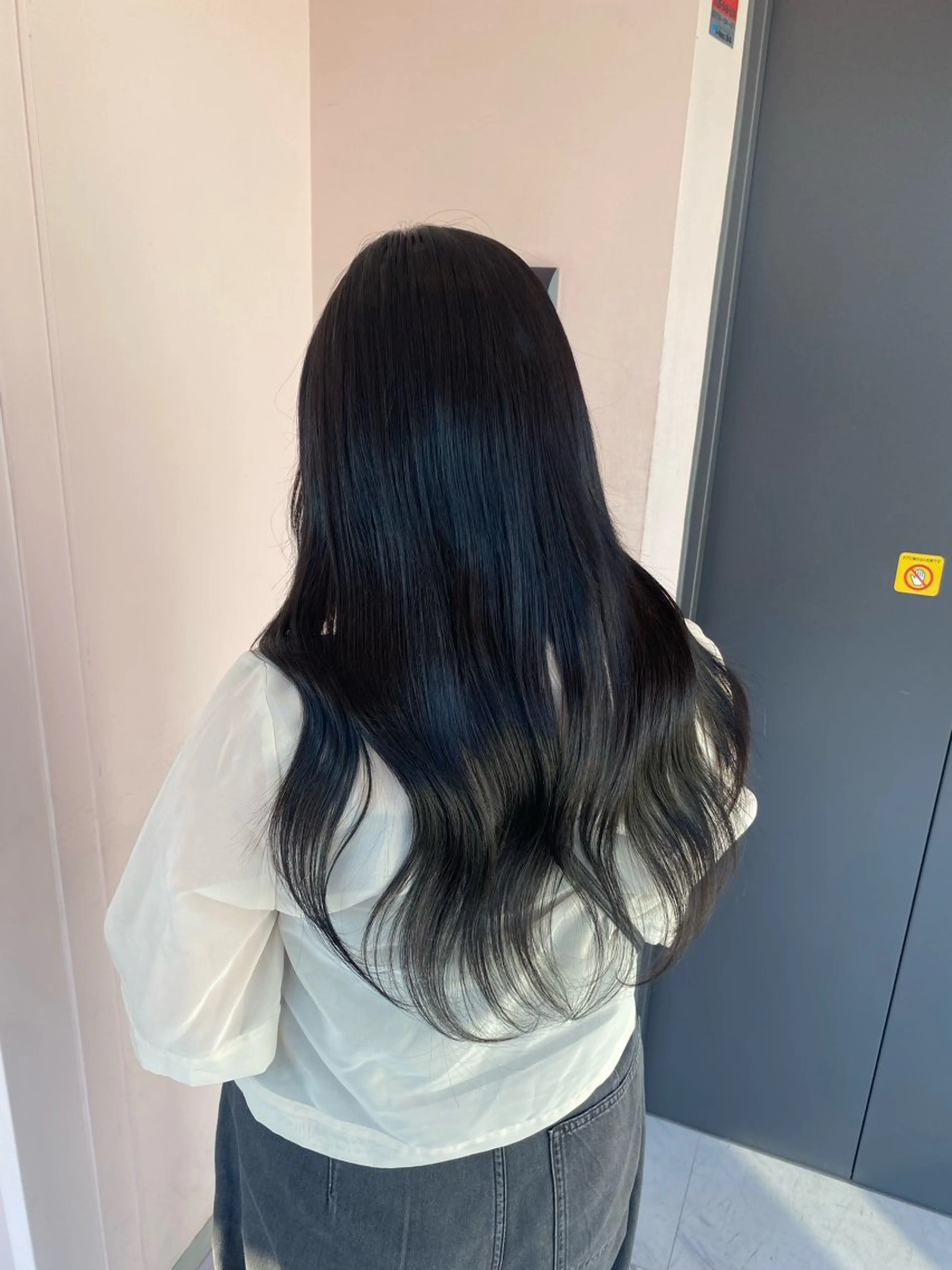 カラー 黒髪 ナチュラルブラック ヘアカラー エクステ ヘアセット 楓🦋韓国系レイヤー / 透明感カラー🤍のヘアスタイル