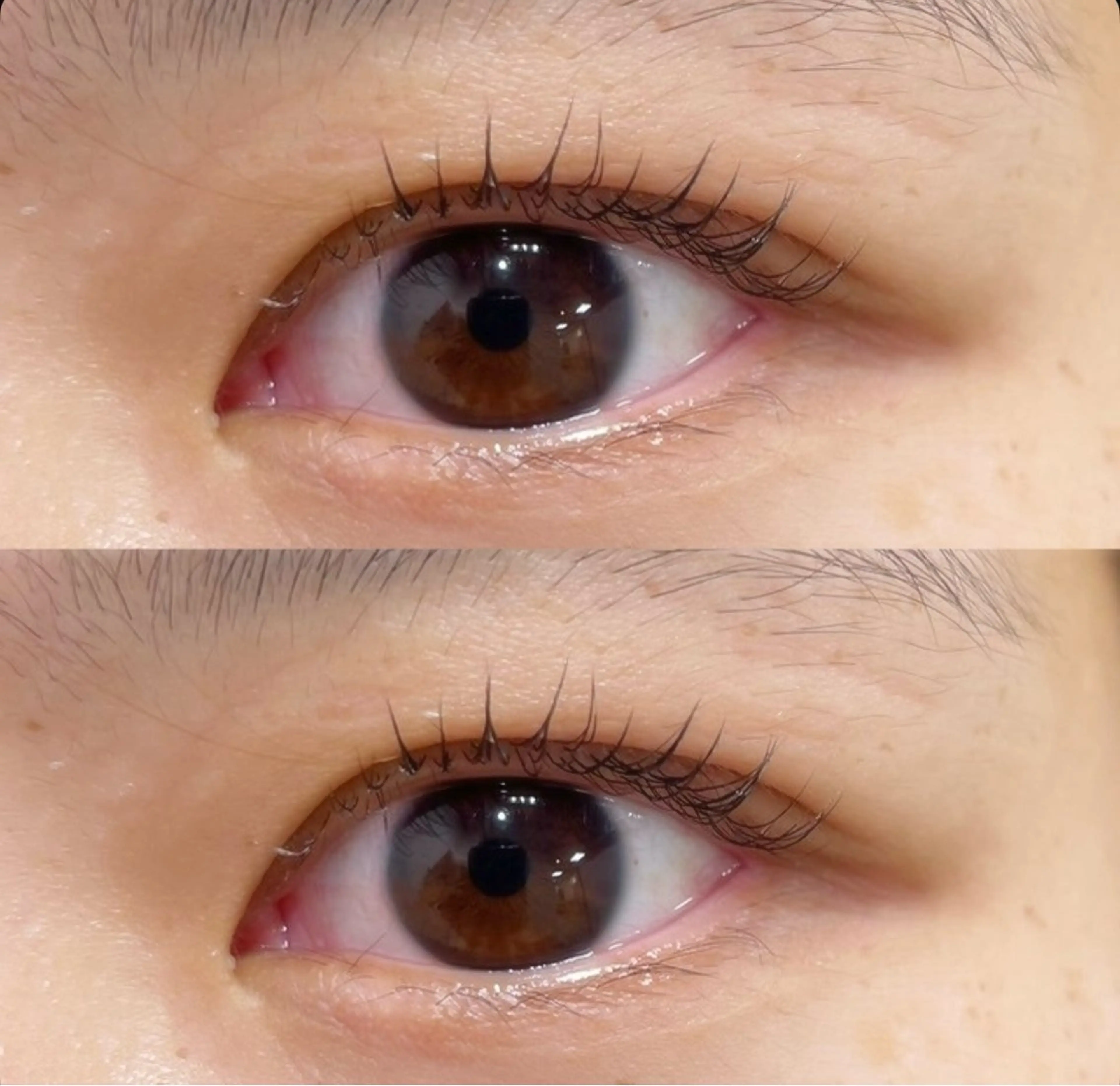 マツエク・マツパ マツパ 【tico】 Chihoのマツエク・マツパデザイン