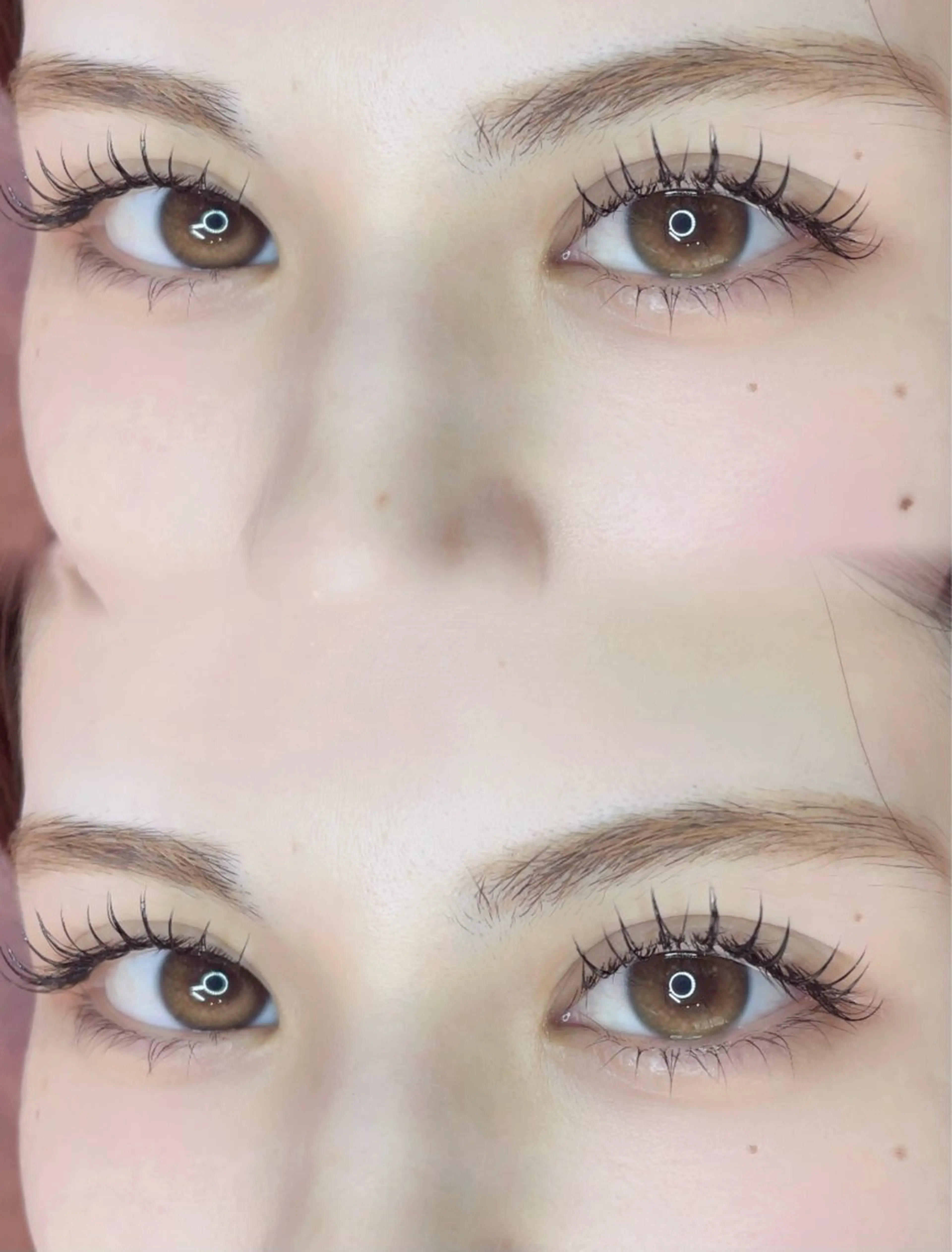 平日限定🌄40%オフ🌄【フラットマットラッシュ】上まつ毛120本🌱コーテング仕上げ(他店オフ無料)の写真