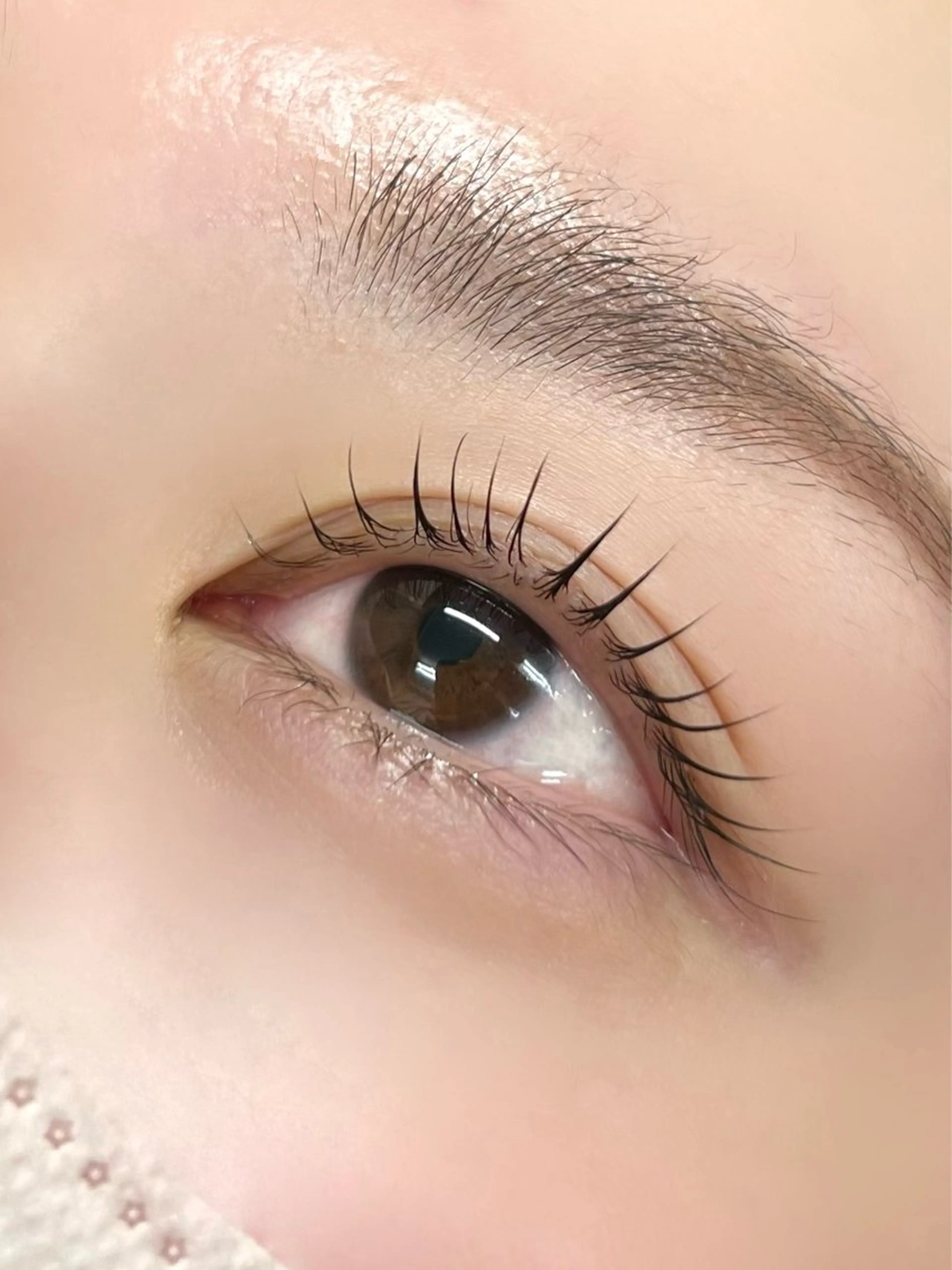 〖 1月11日限定 〗まつ毛パーマᙏ̤̫͚の写真