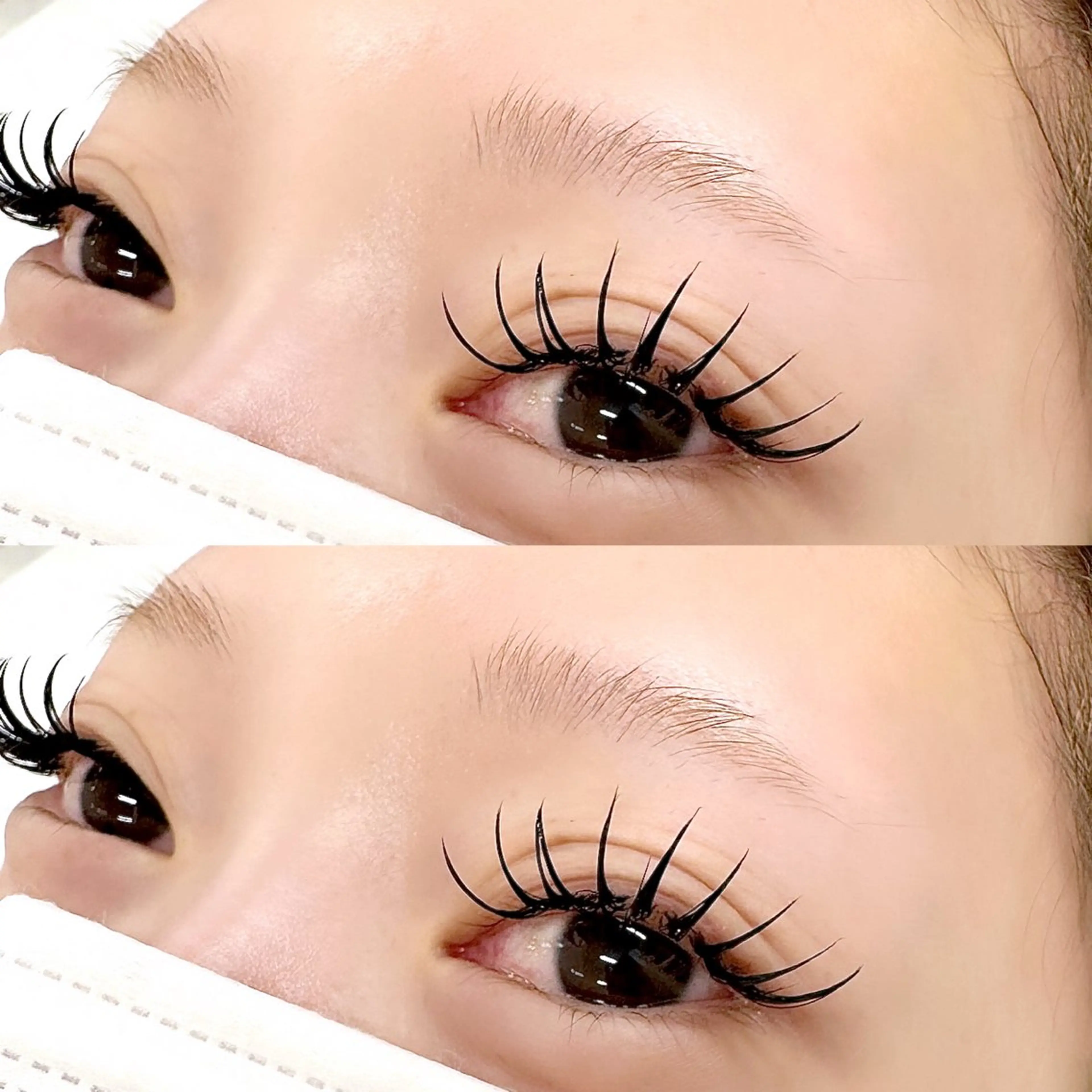 【ご新規様限定価格】ダブルフラットラッシュ120束コーティング付きの写真