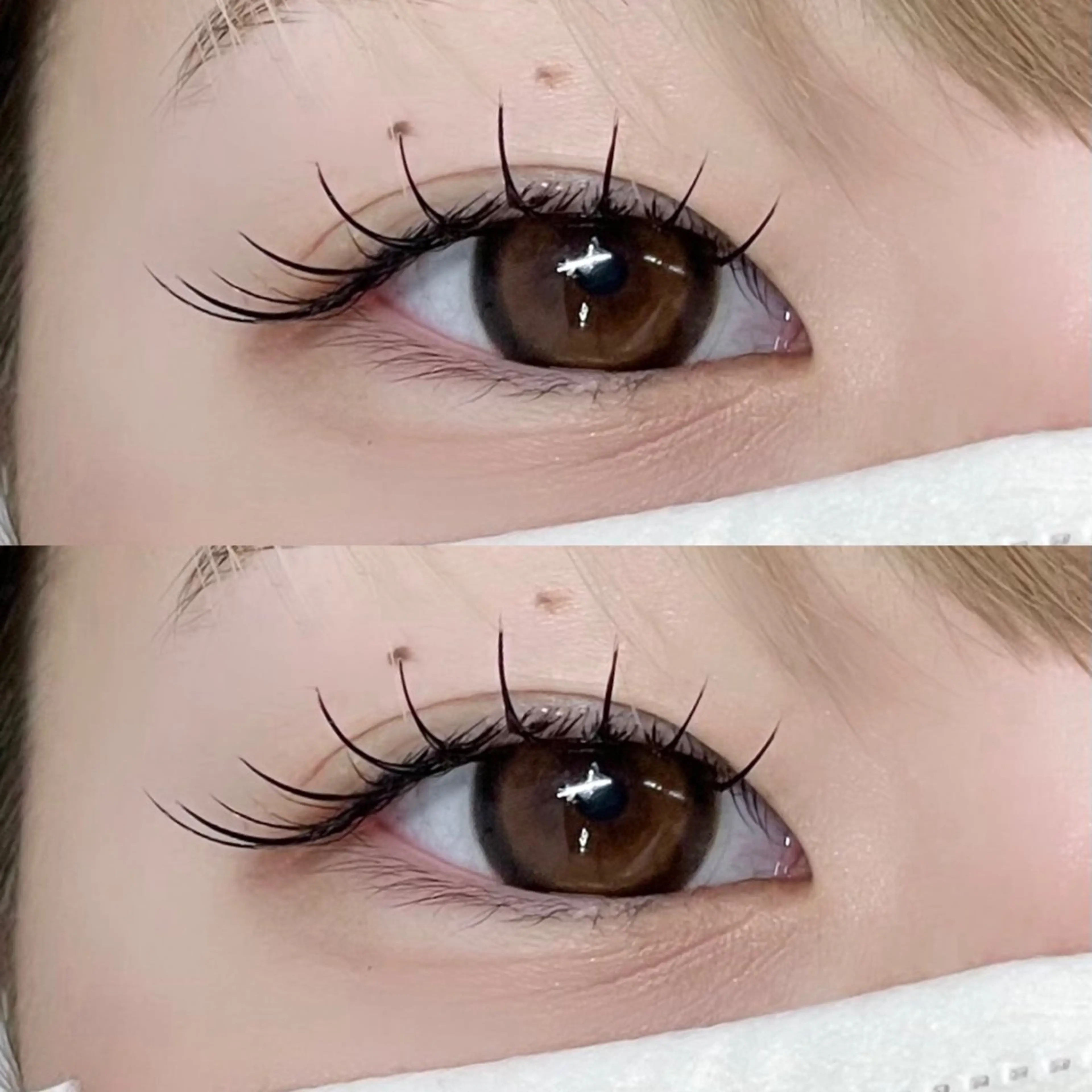 マツエク・マツパ マツエク LILY 猪瀬 ෆ LED/パリ/束感のマツエク・マツパデザイン