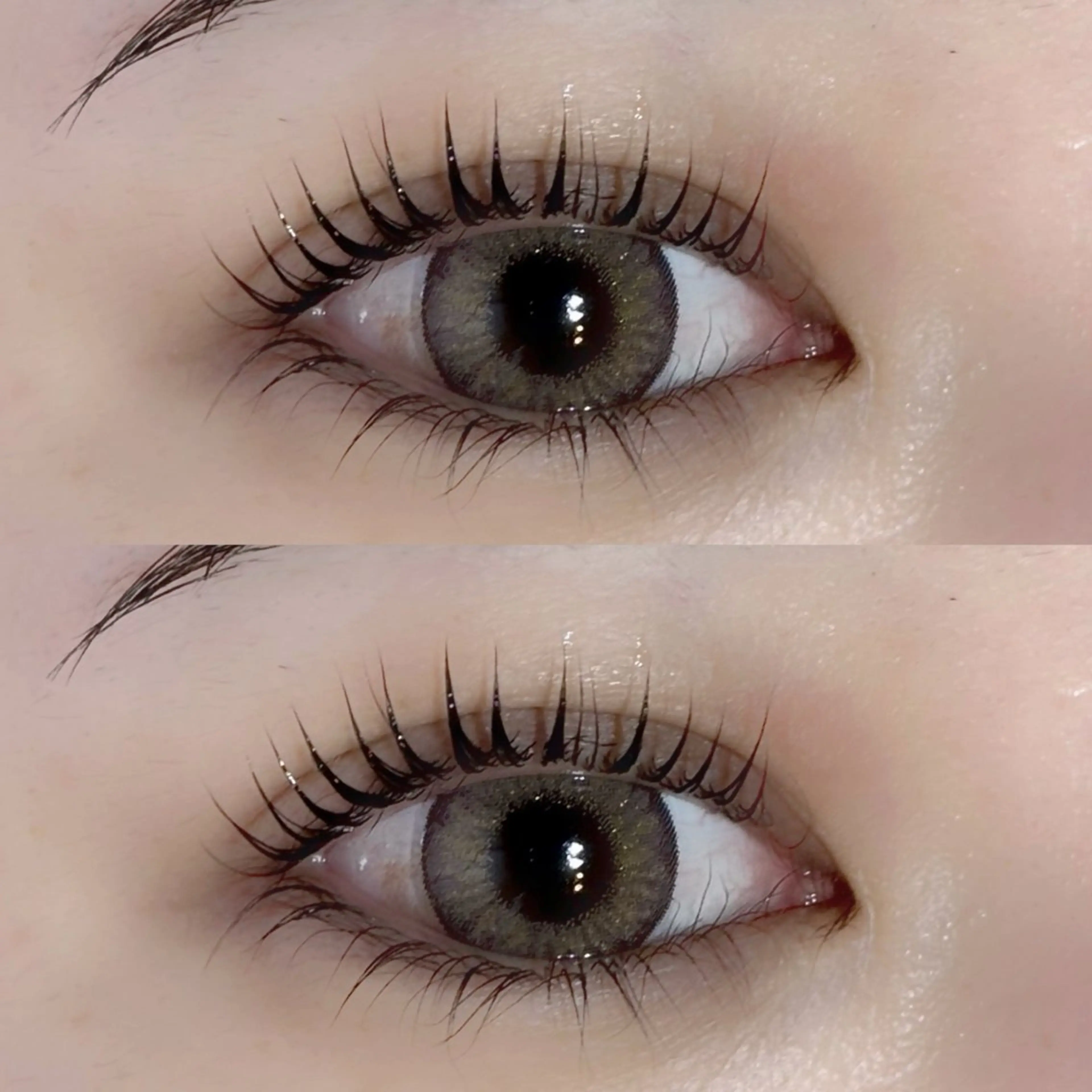 選べるまつげパーマ🫧ラッシュリフト𝗈𝗋パリジェンヌ✨の写真