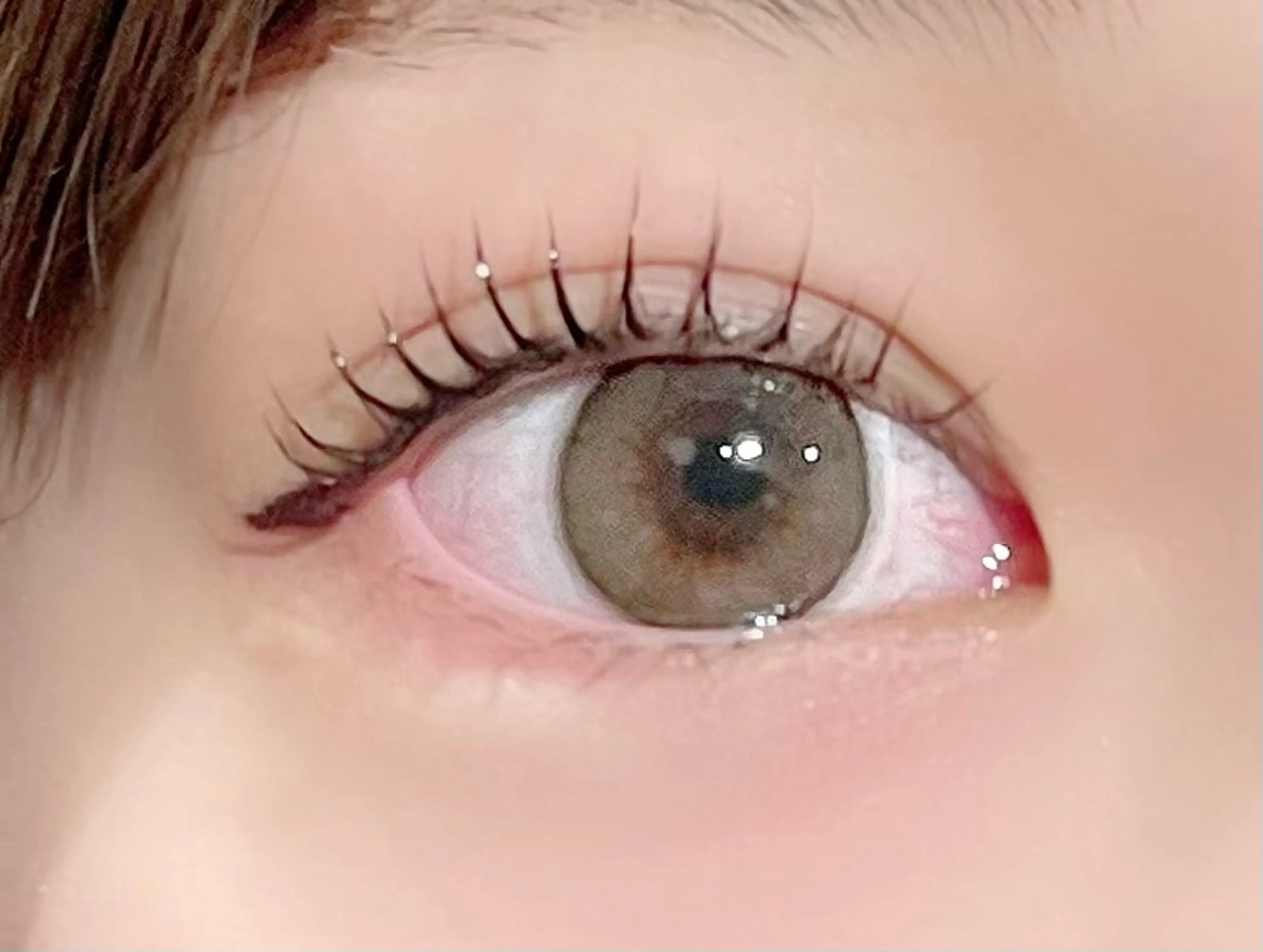 ✨️パリジェンヌラッシュリフト✨️ (ケラチンTR+束感コーティング付き💫)の写真