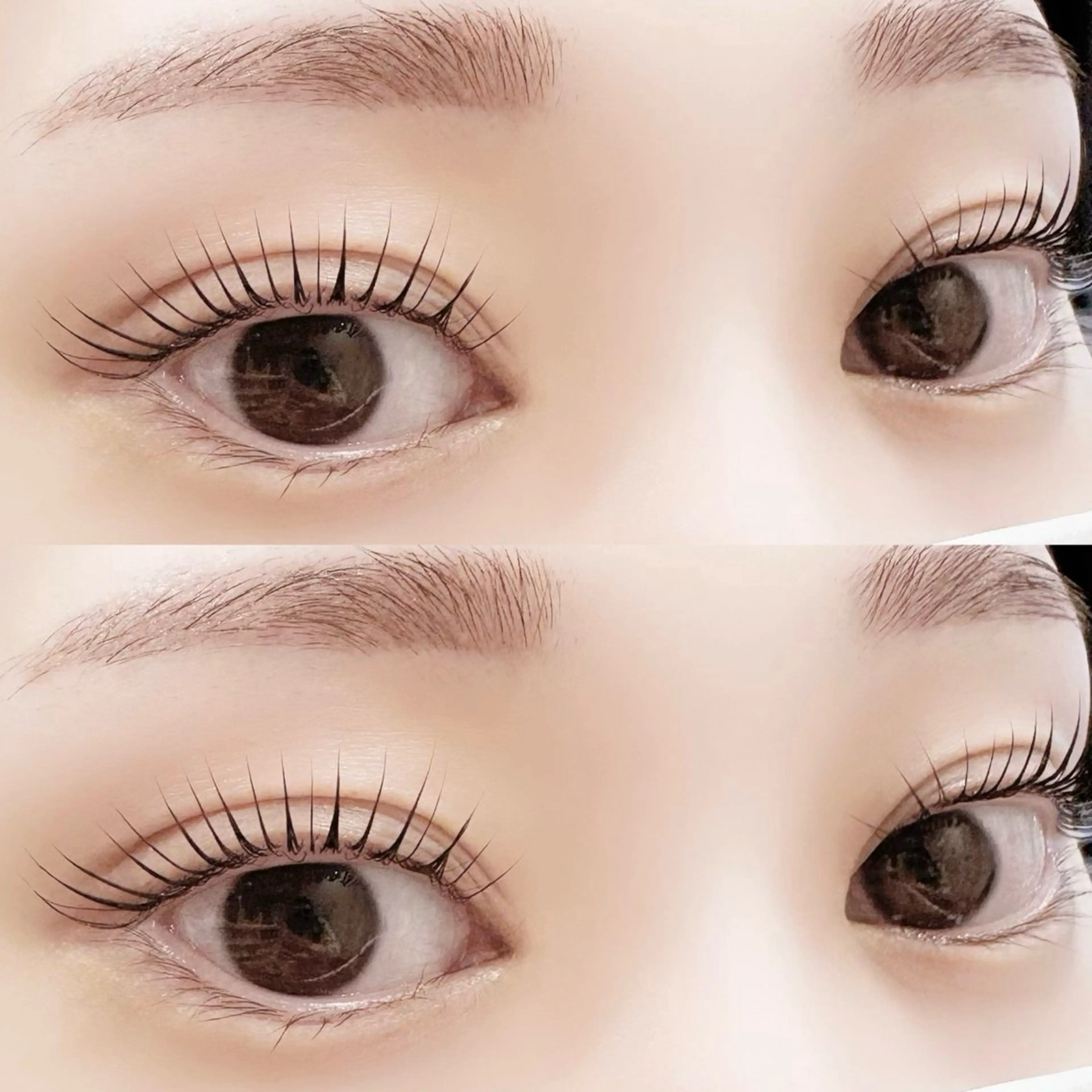 【3回使用可◎】パリジェンヌ 〈上〉＆美容トリートメント付🌻の写真