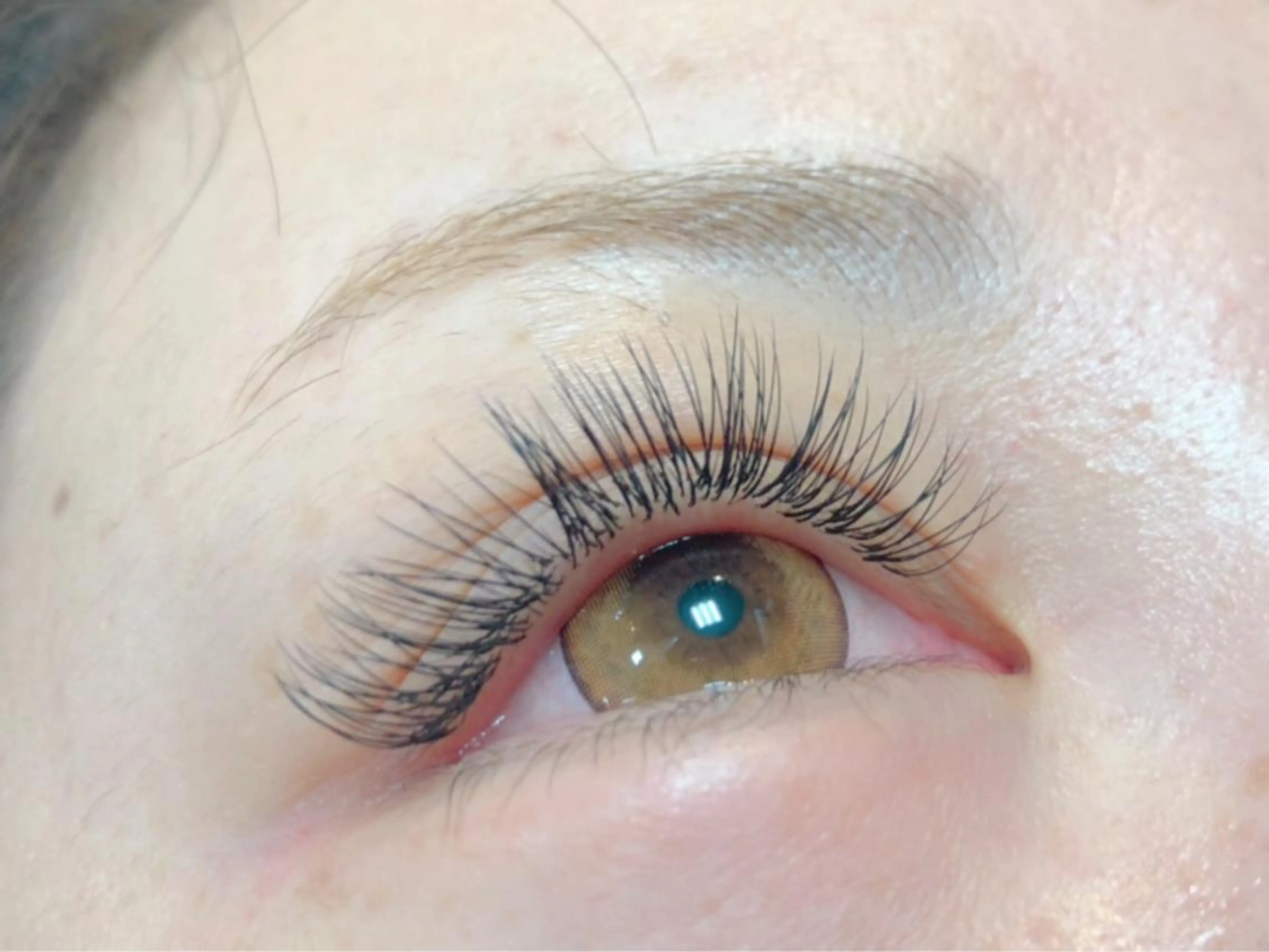 【minimo限定🌺】オフ込み⭐︎セーブルエクステ 140本 🌟（+1,100円でカラー/フラットラッシュに変更可）の写真