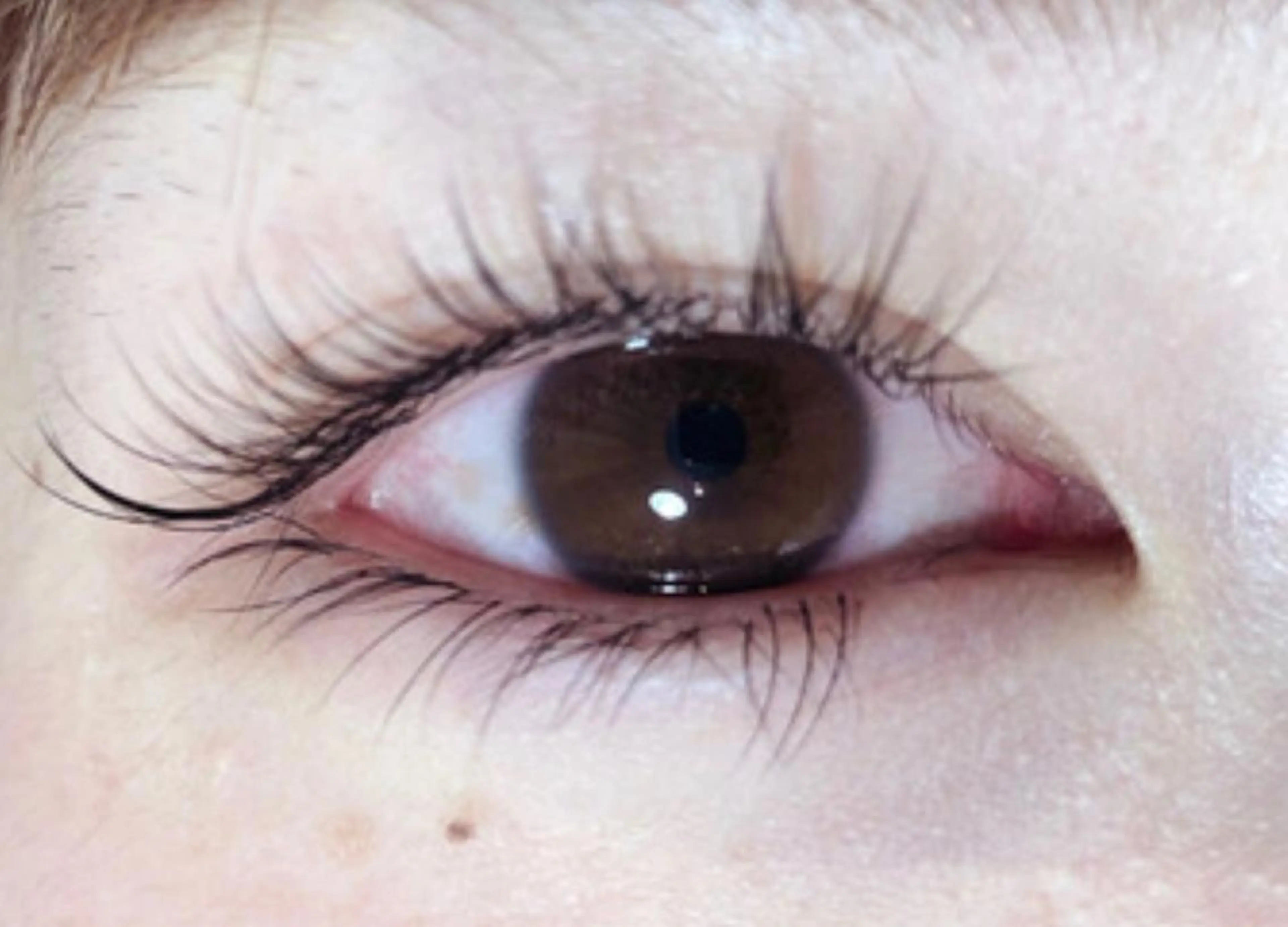 マツエク・マツパ Cカール セクシー 下まつげエクステ まつ毛、毛穴ケア 専門サロンPlumeのマツエク・マツパデザイン