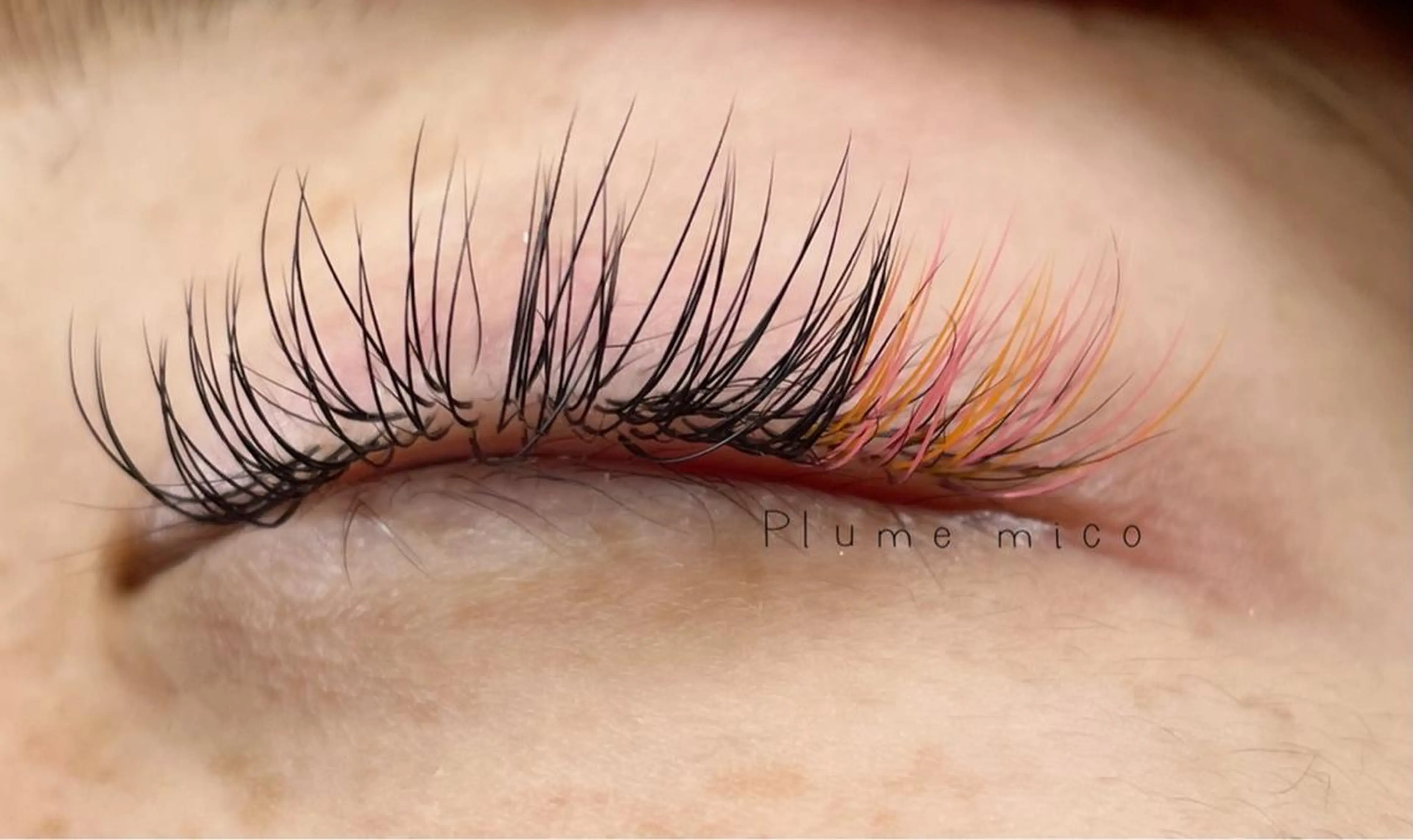 マツエク・マツパ マツエク Plume micoのマツエク・マツパデザイン