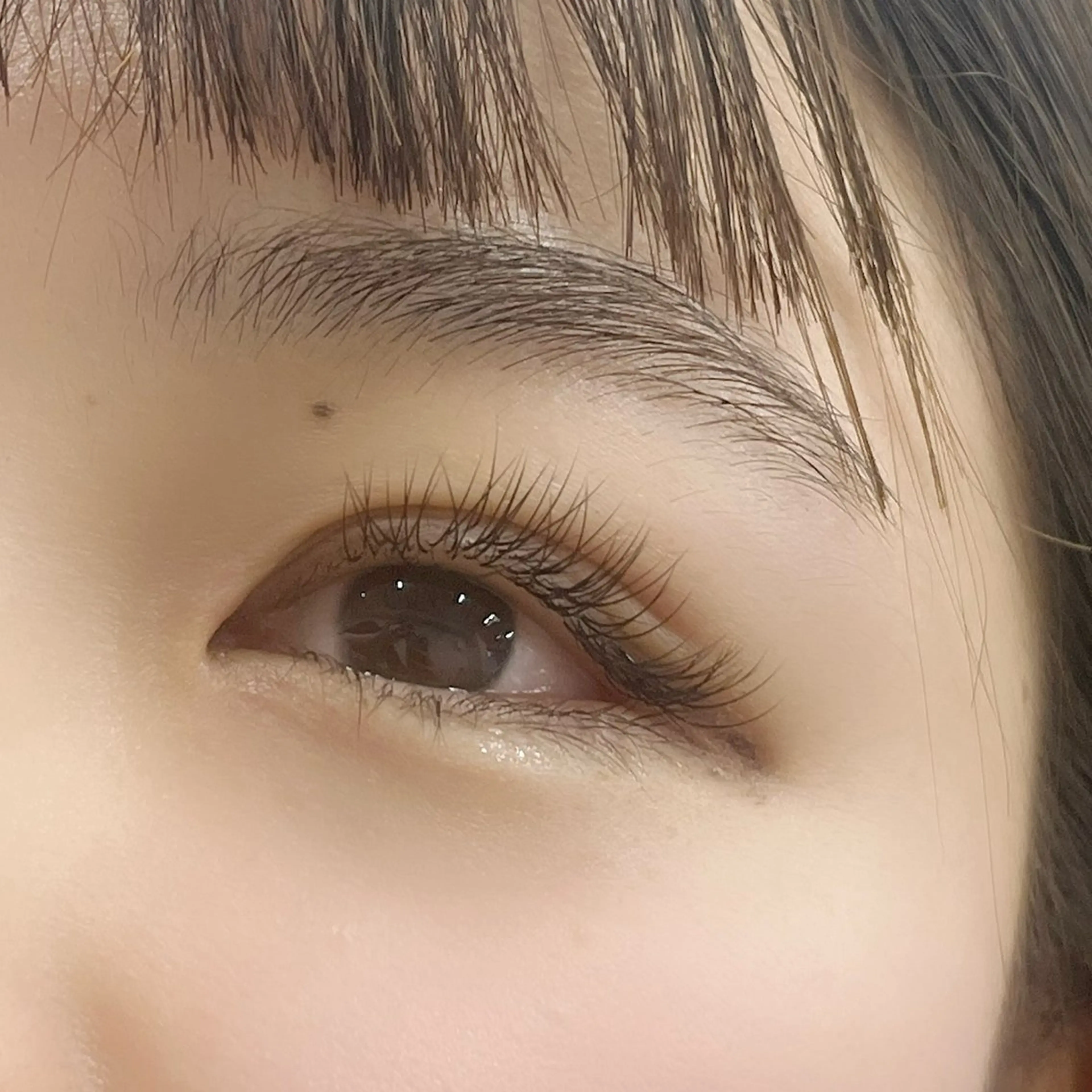 マツエク・マツパ 錦糸町無料 モデル募集✨横地の眉毛・アイブロウイメージ