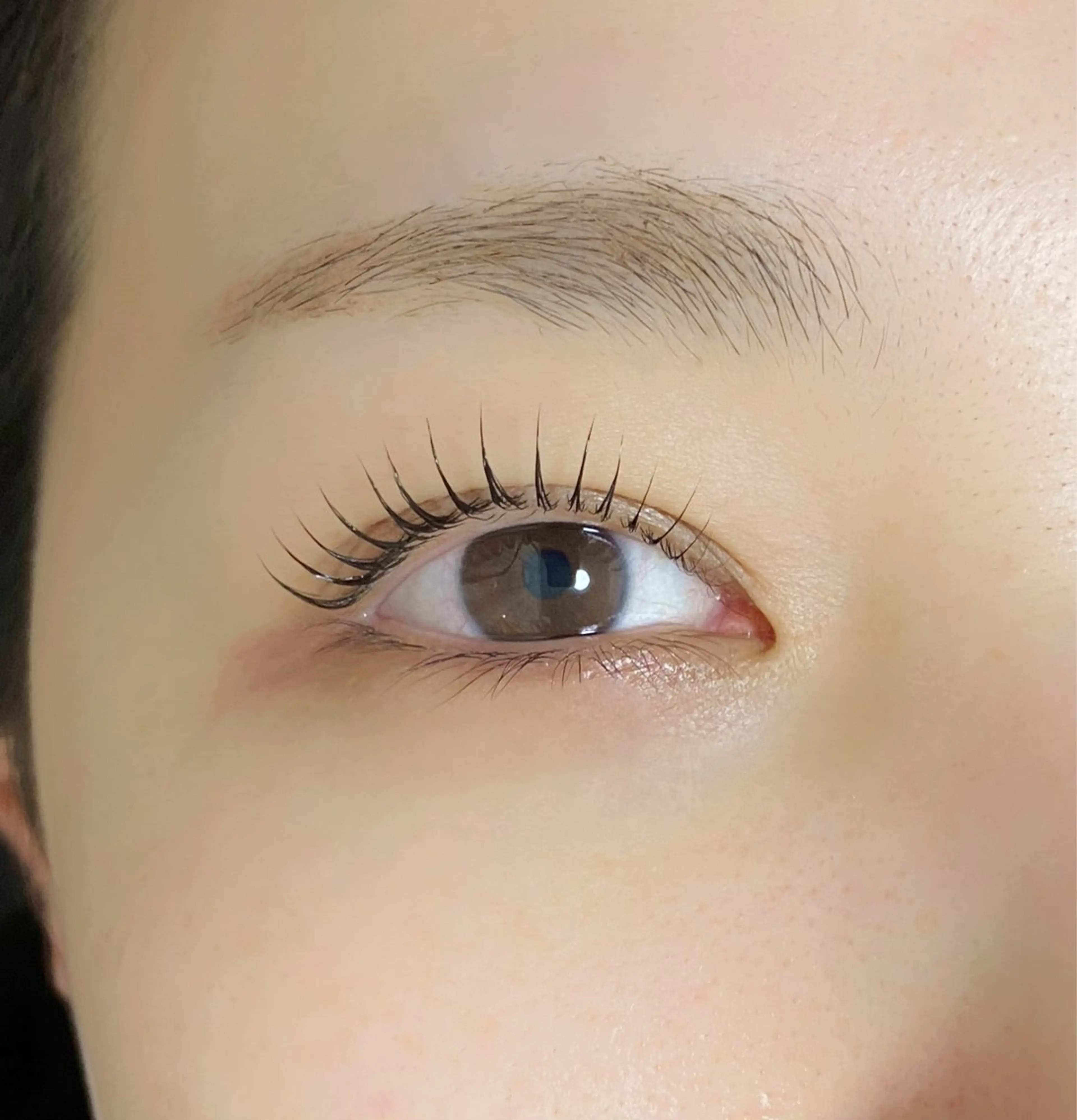 🔸まつげパーマ🔶【アイシャンプー&美容コーティング付き】の写真