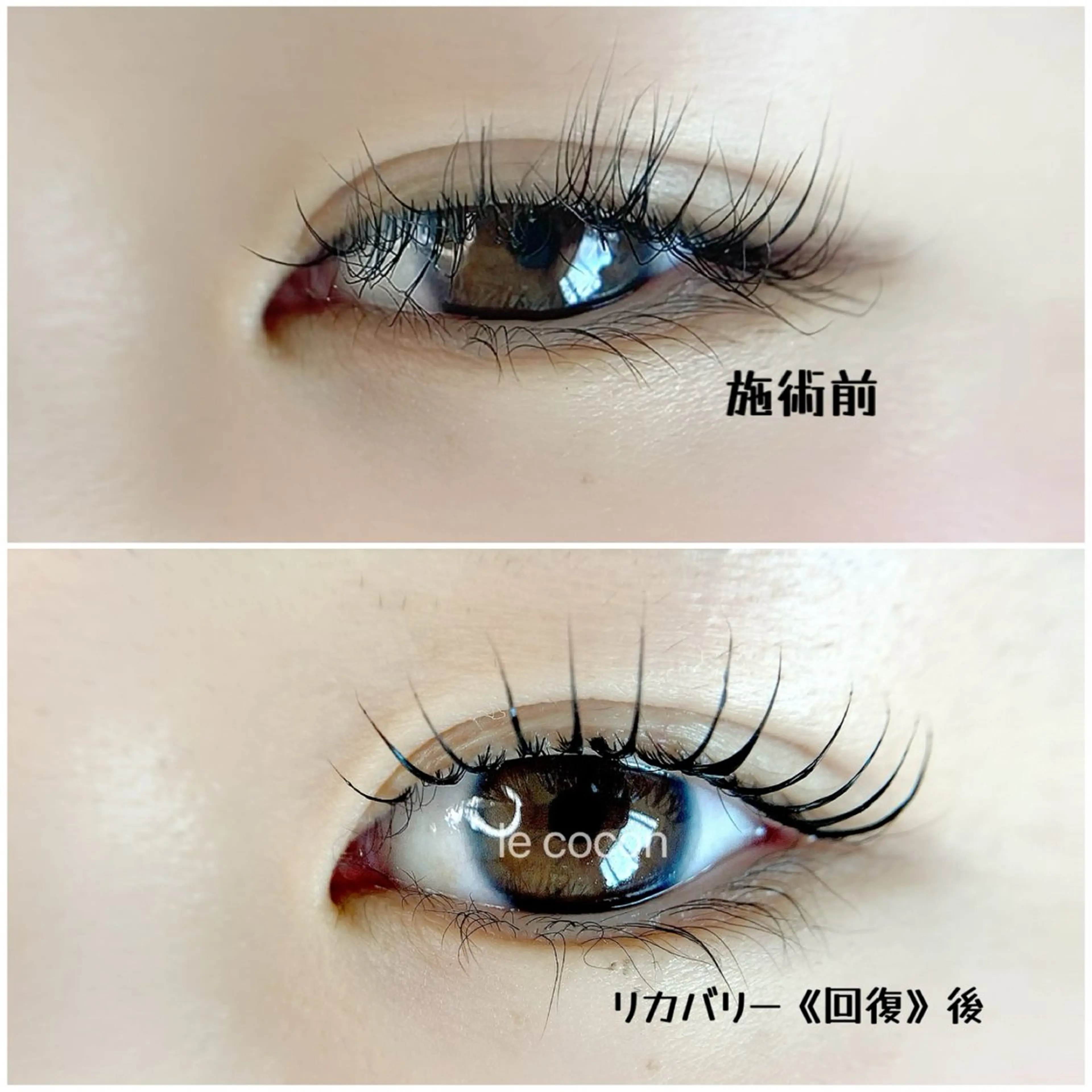 マツエク・マツパ mania eyebrowsの眉毛・アイブロウイメージ