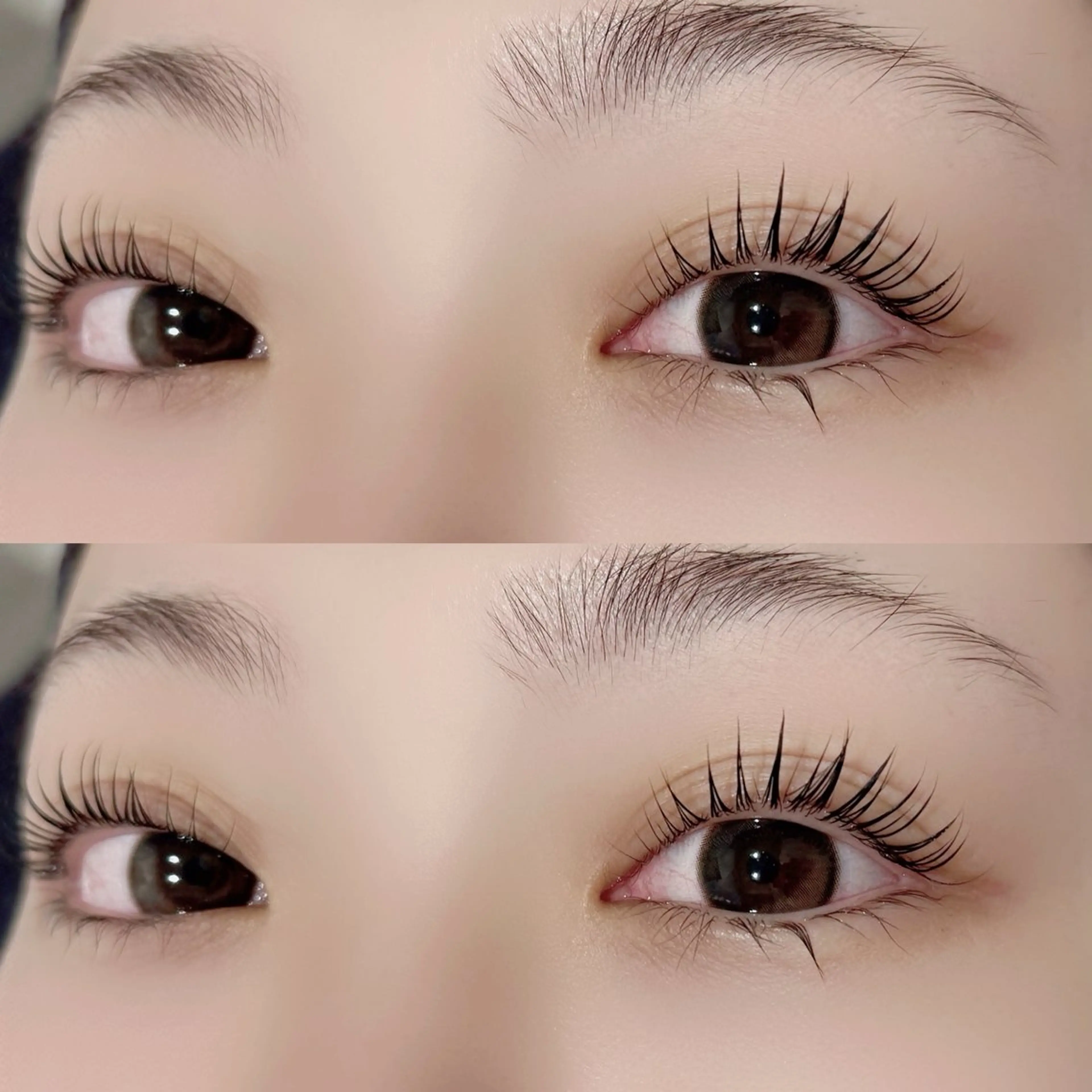 マツエク・マツパ MAKEA柏店🧸 honokaのマツエク・マツパデザイン