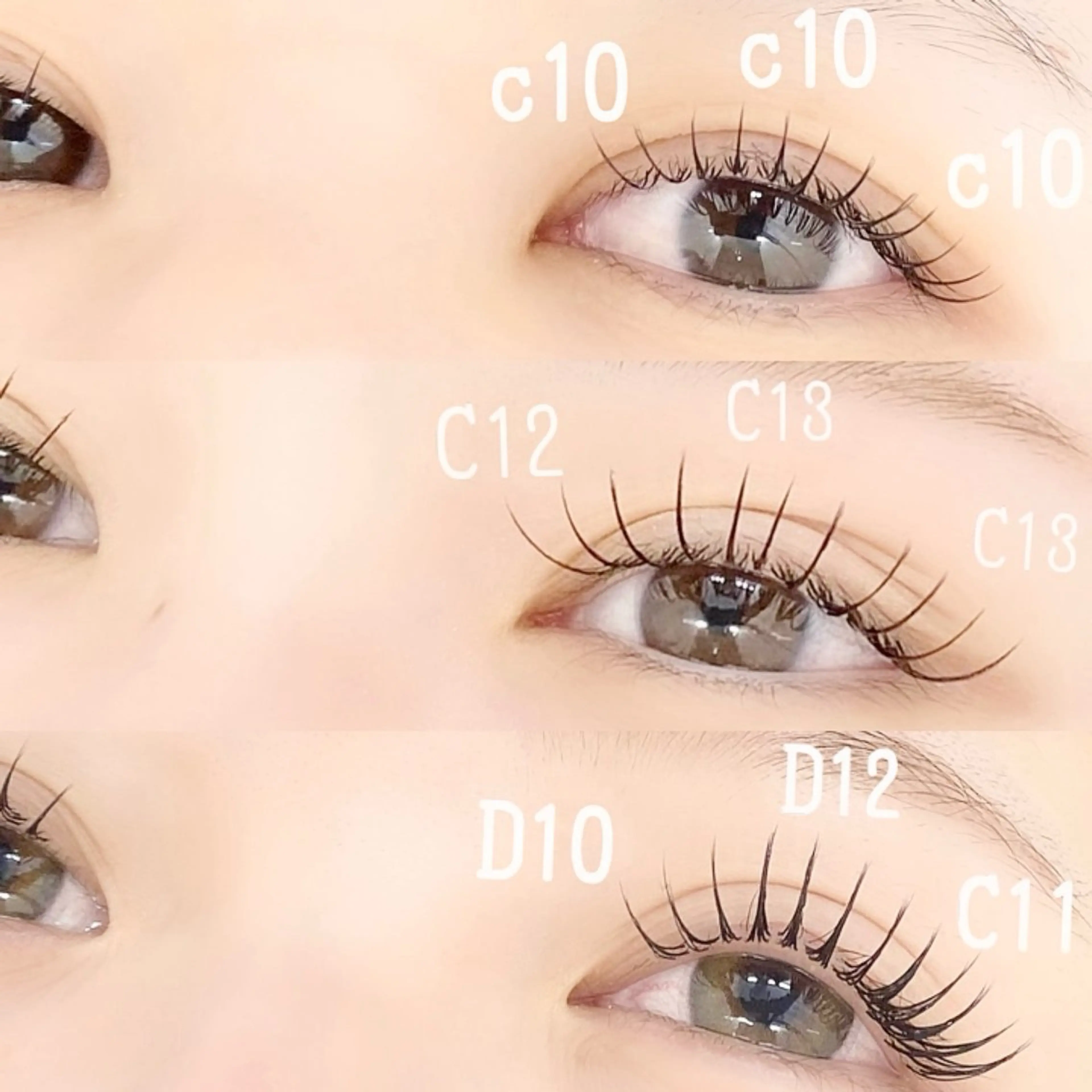 🌷セーブル100本の写真