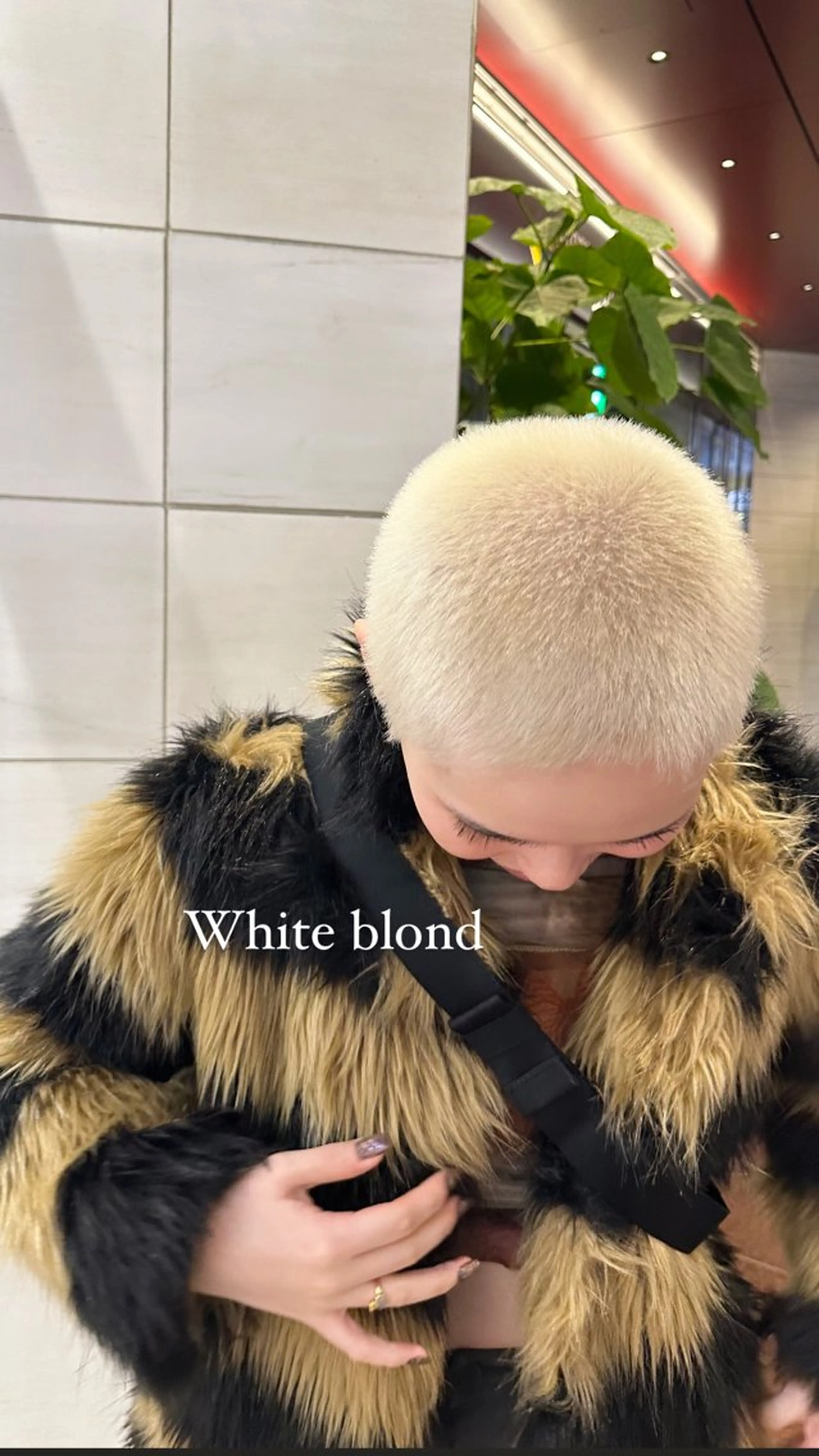 ロング カラー ハイトーン/ブリーチ カラー/SHOGOのヘアスタイル