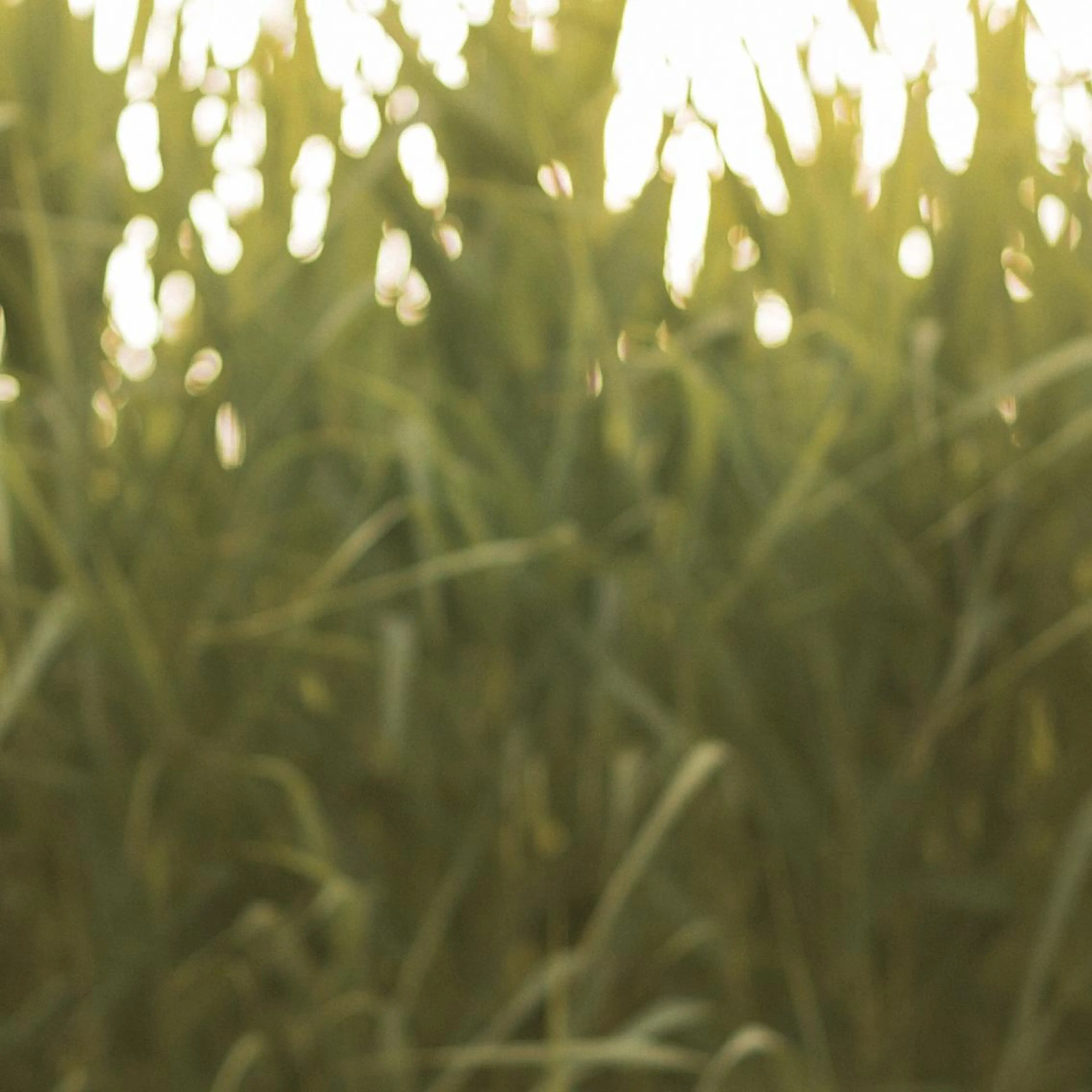 滝澤 良紀のヘアスタイル