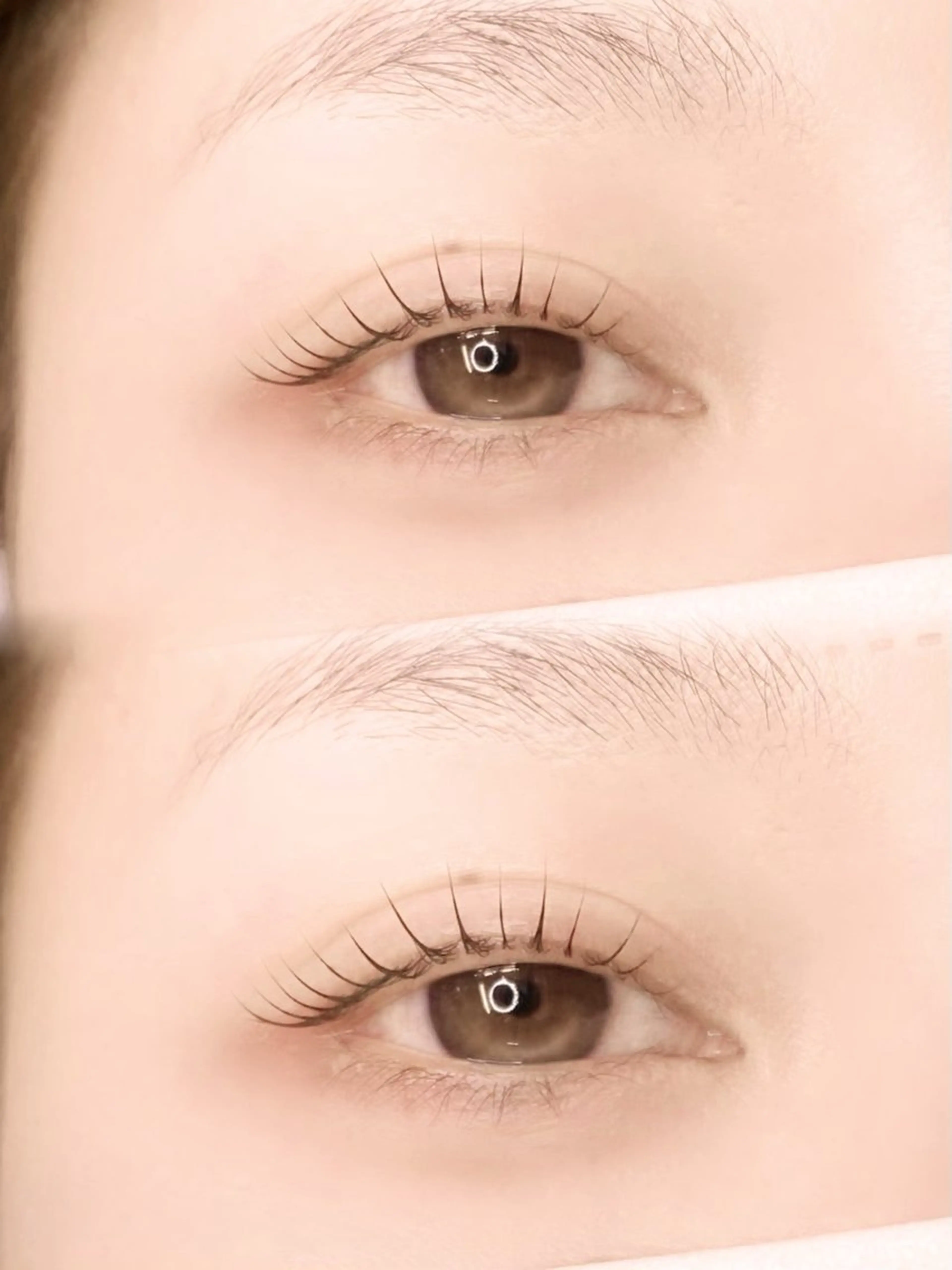 ✨ ラッシュリフト コーティング剤で束感仕上げ✨¥3,000の写真