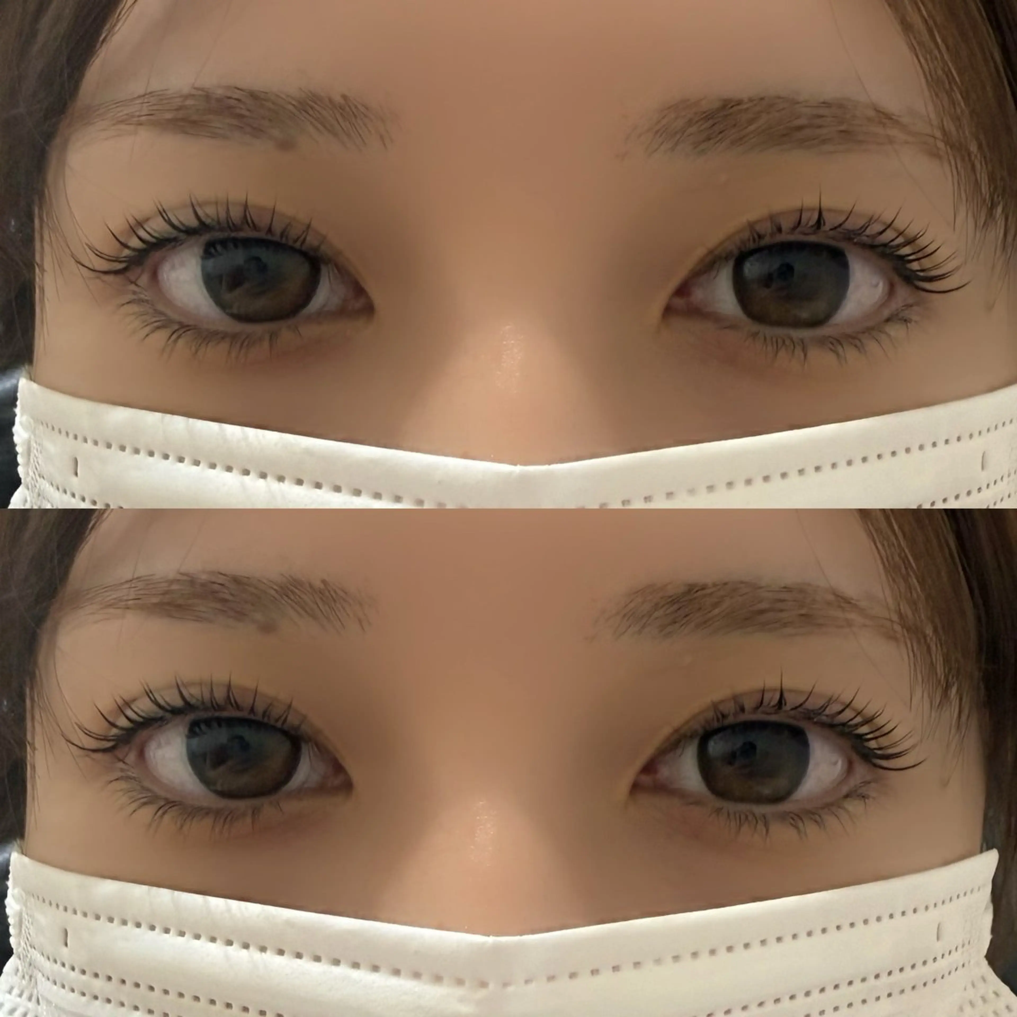 🎀無料メーテルラッシュリフトの写真