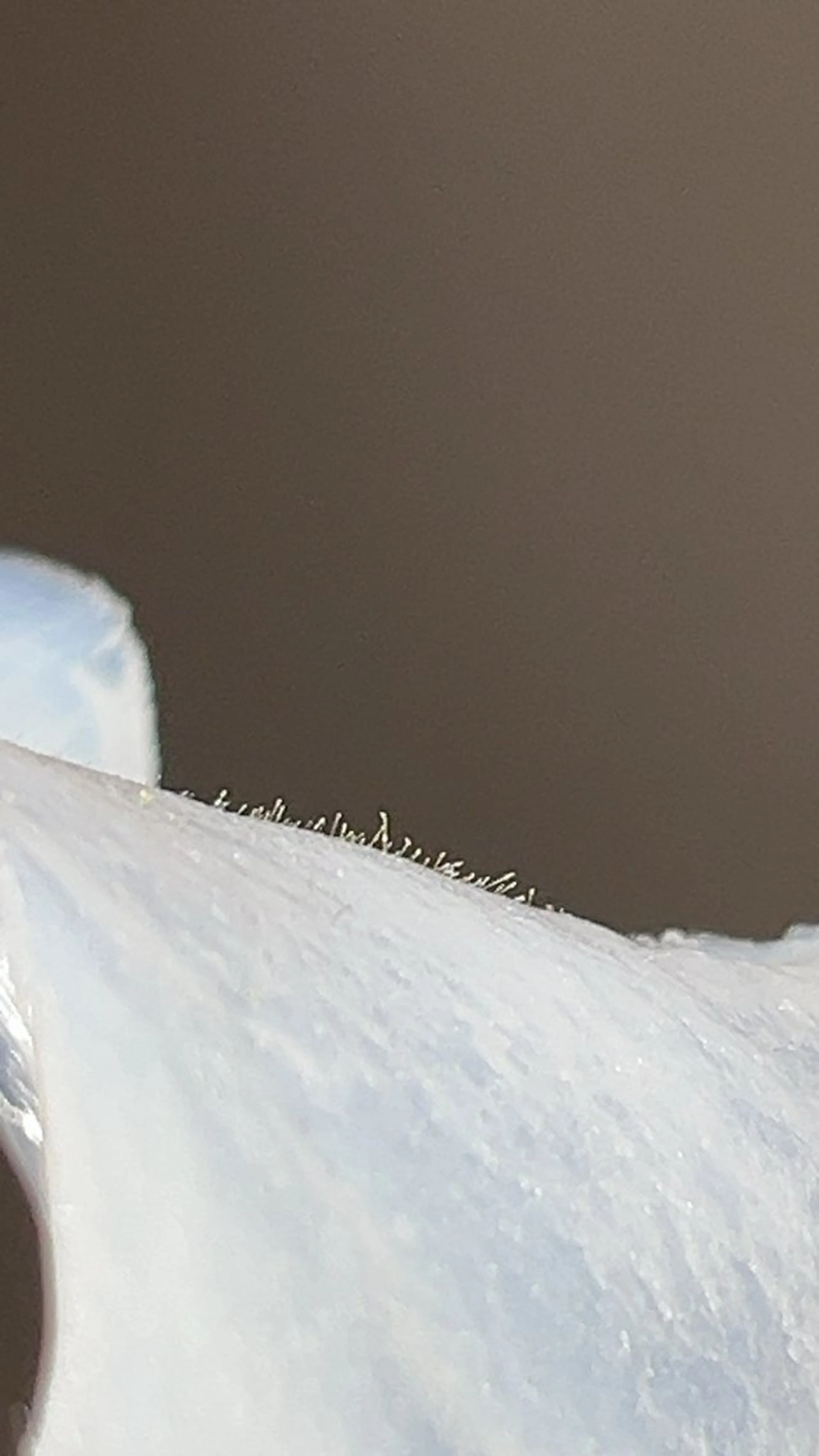 iti 眉毛とワックス脱毛の眉毛・アイブロウイメージ