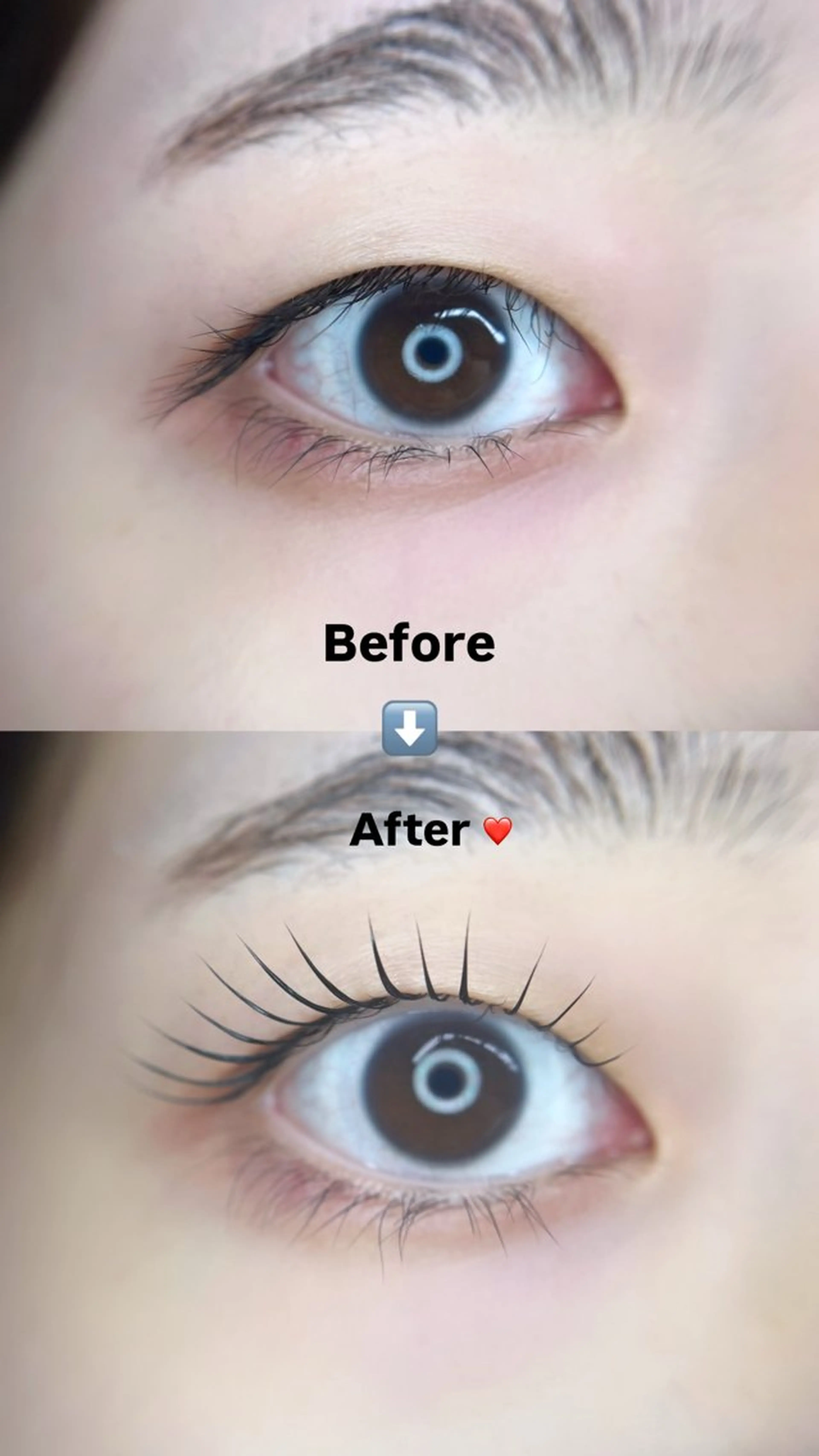 マツエク・マツパ メゾンドシャルム SETOGAWAのマツエク・マツパデザイン