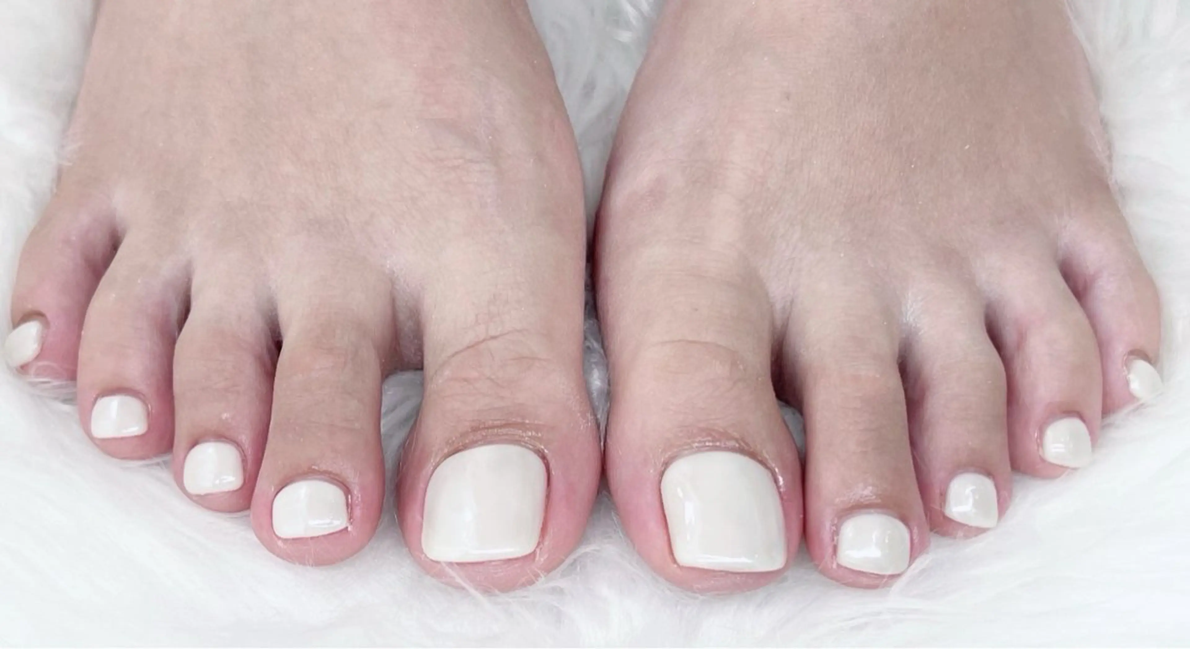 【フット】ワンカラー　¥4500の写真