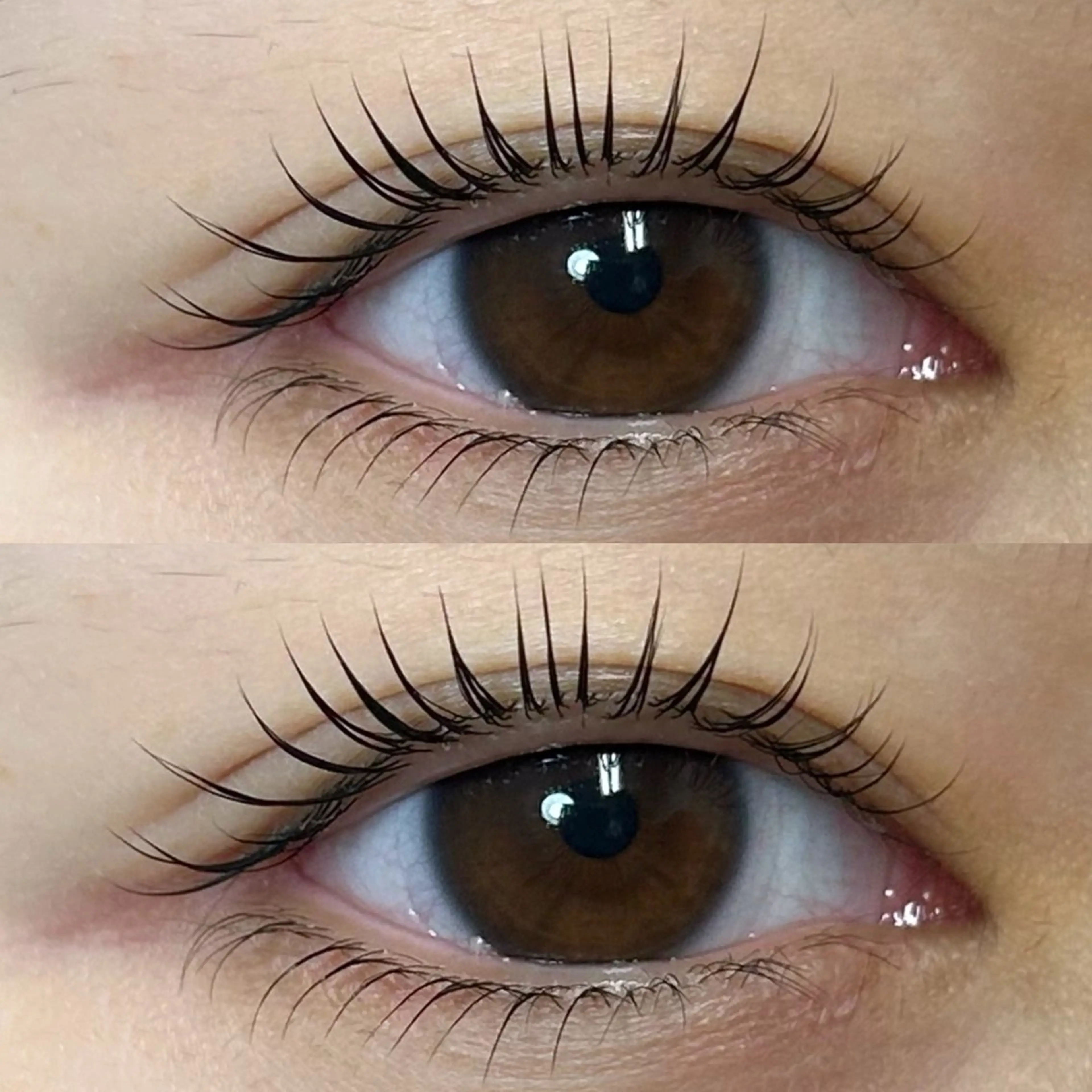 【新規】まつげパーマ🫧の写真