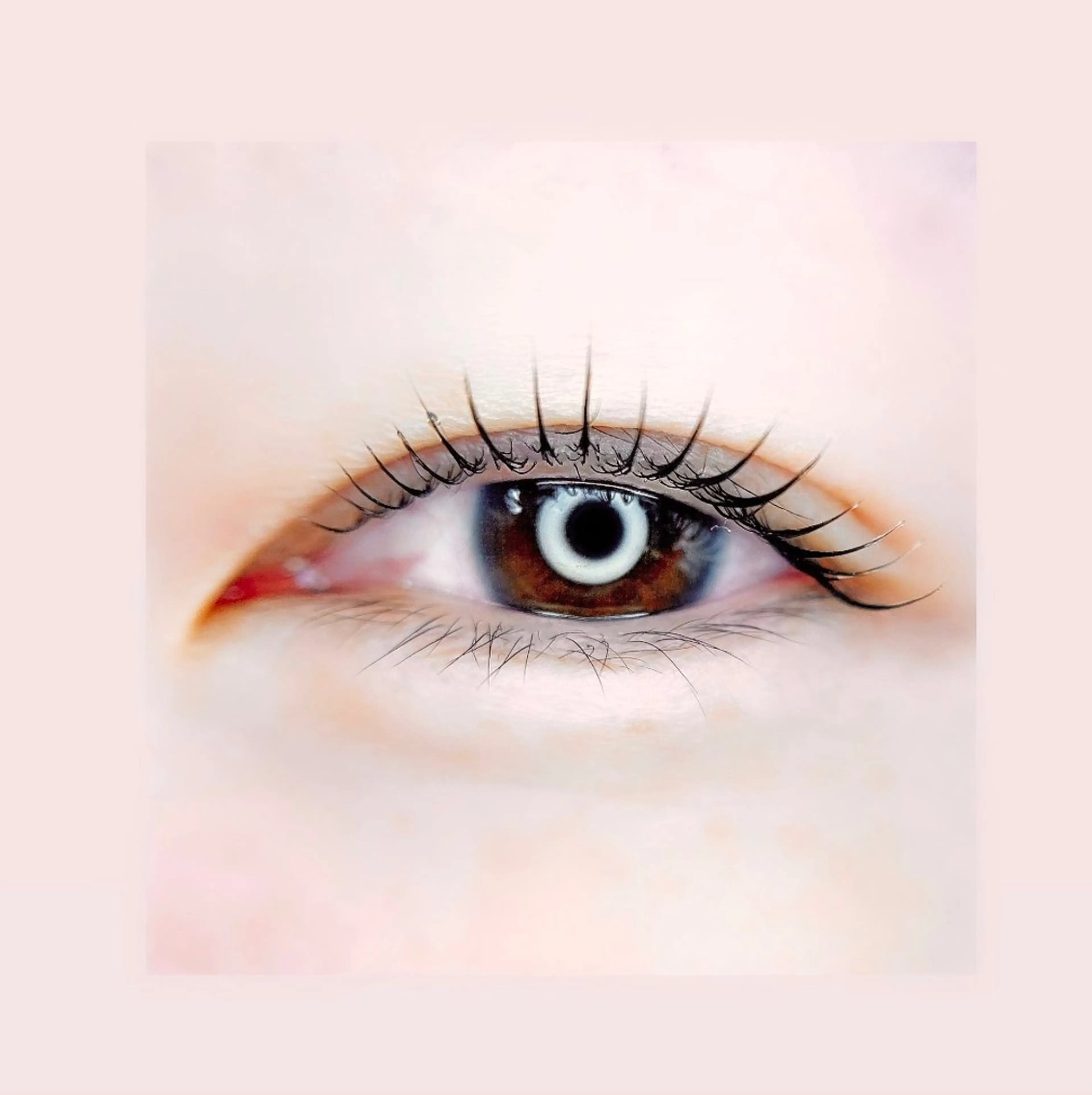 マツエク・マツパ un par un アンパルアン所属・un par unの眉毛・アイブロウイメージ