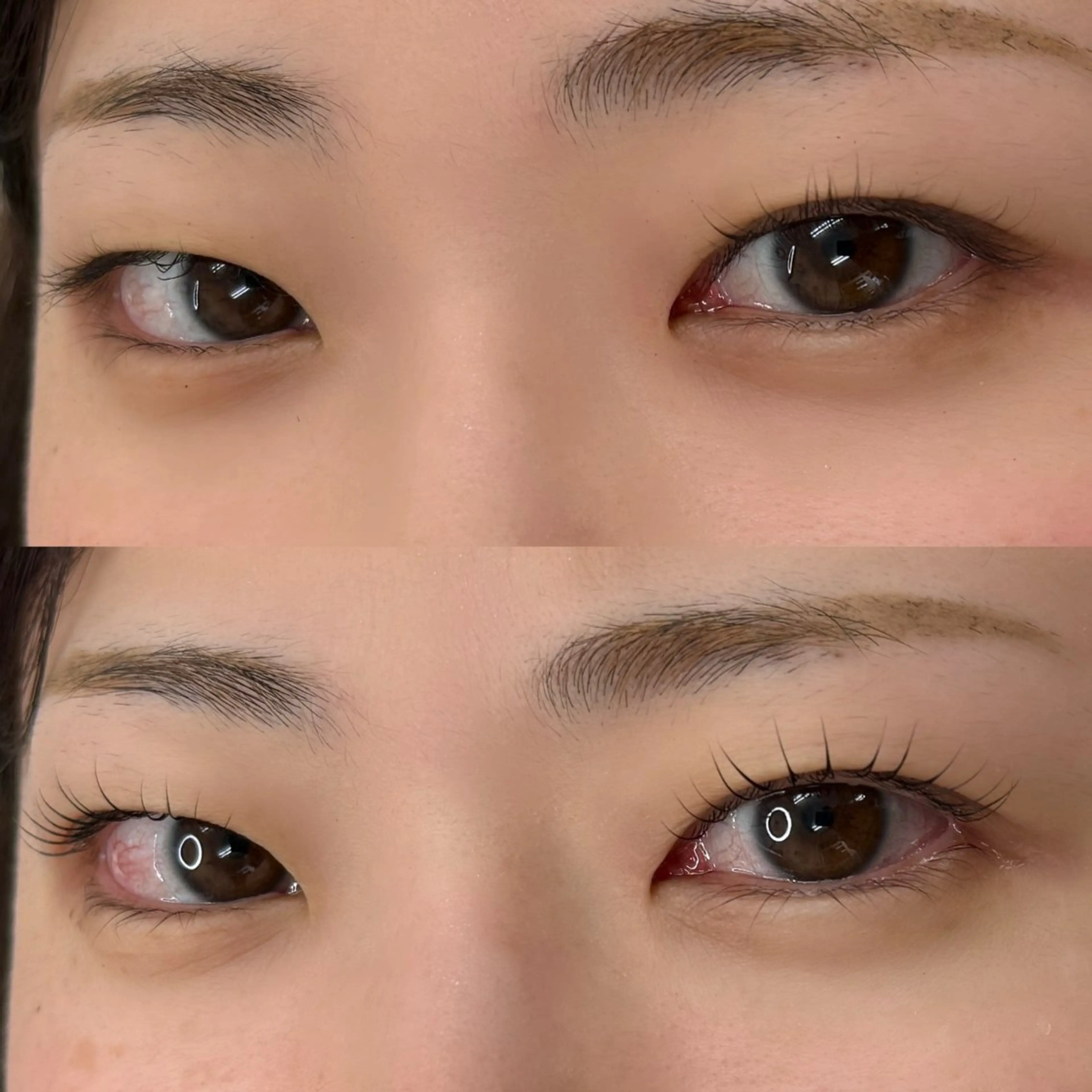 マツエク・マツパ マツパ MAMI🤍 Tuuliの眉毛・アイブロウイメージ