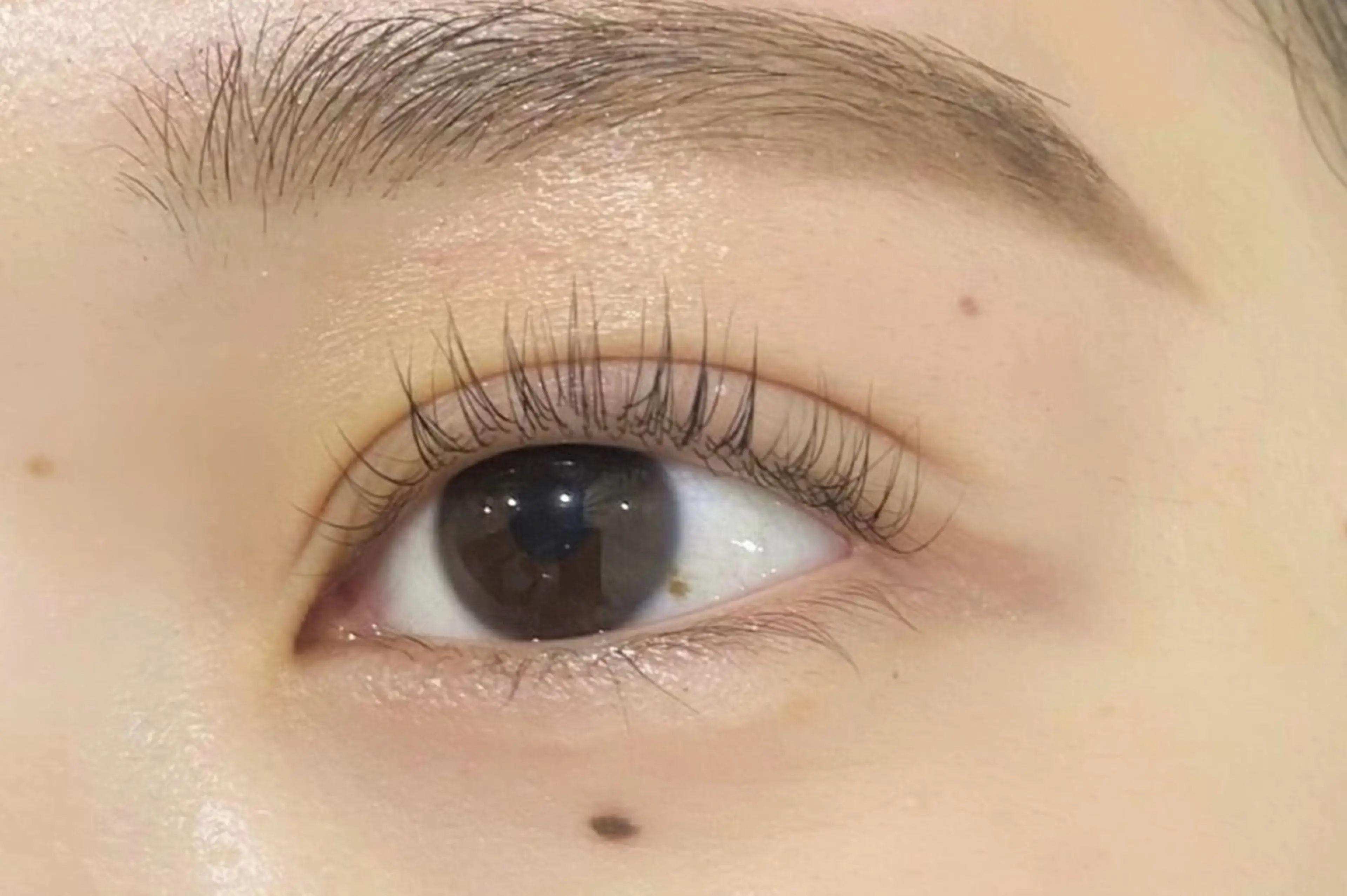 マツエク・マツパ 奥村 杏菜のマツエク・マツパデザイン