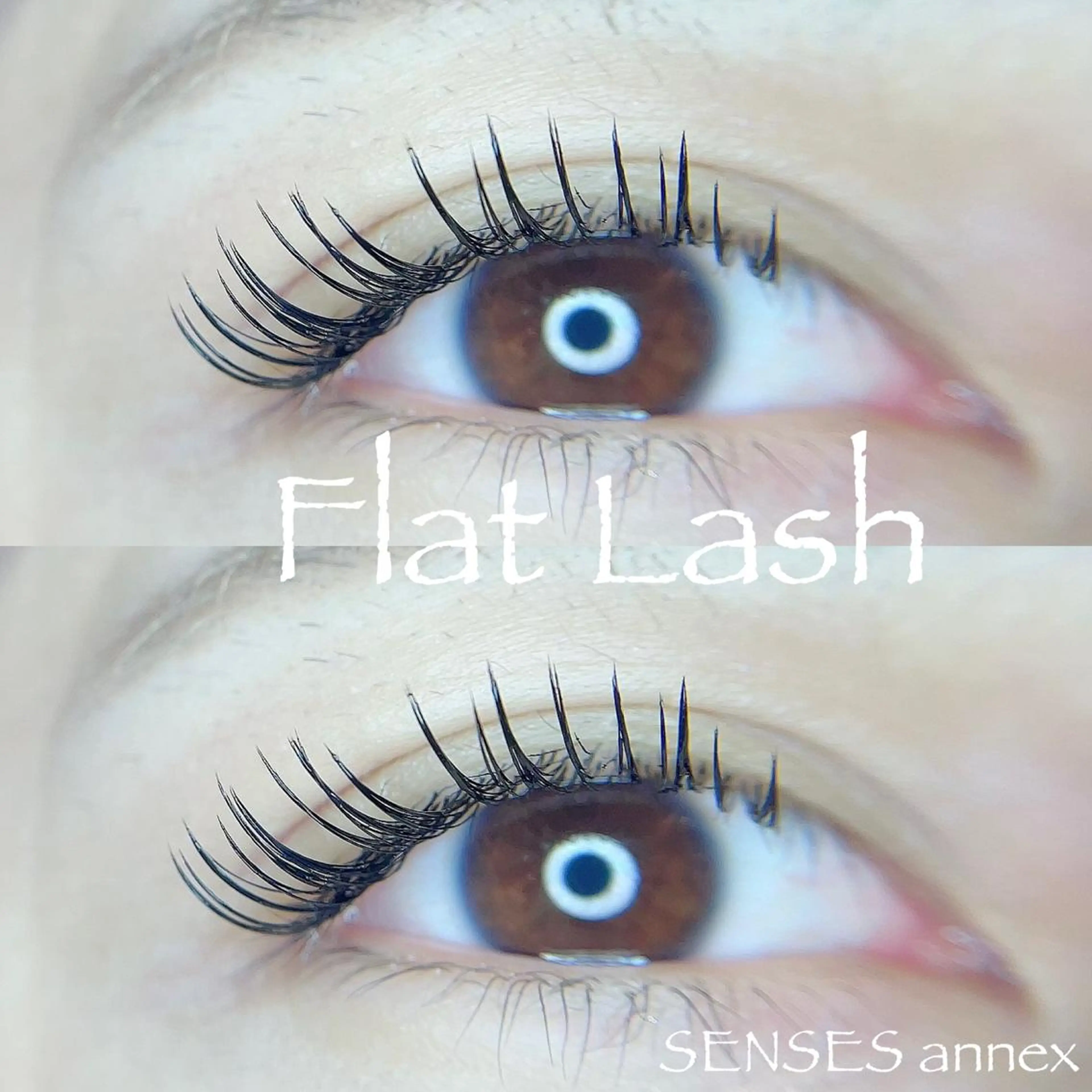 ◆フラットラッシュ◆付け放題 本数無制限ヘッドマッサージ/コーティング剤付の写真