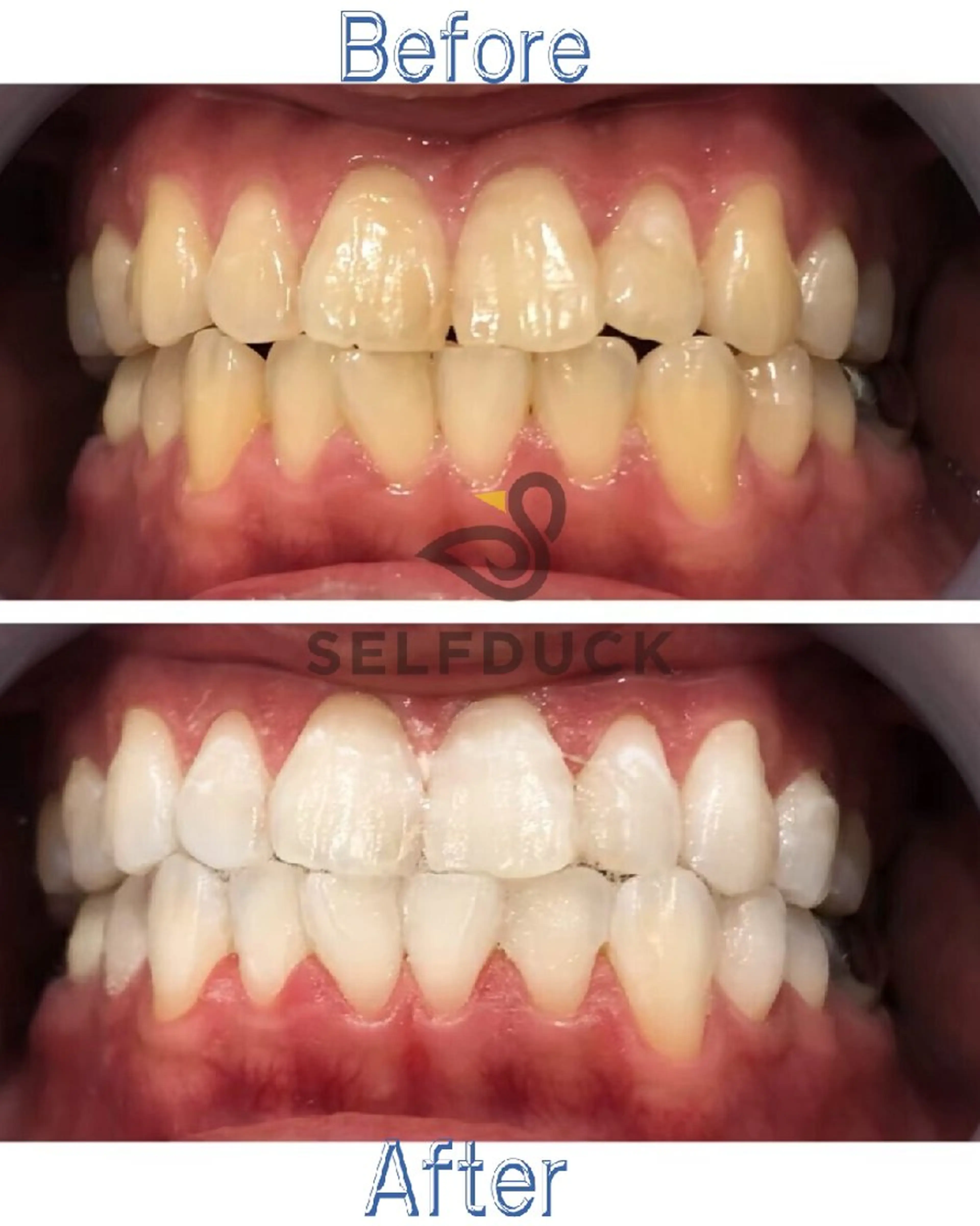 歯科提携セルフダック 宇都宮駒生店のエステ・リラクイメージ