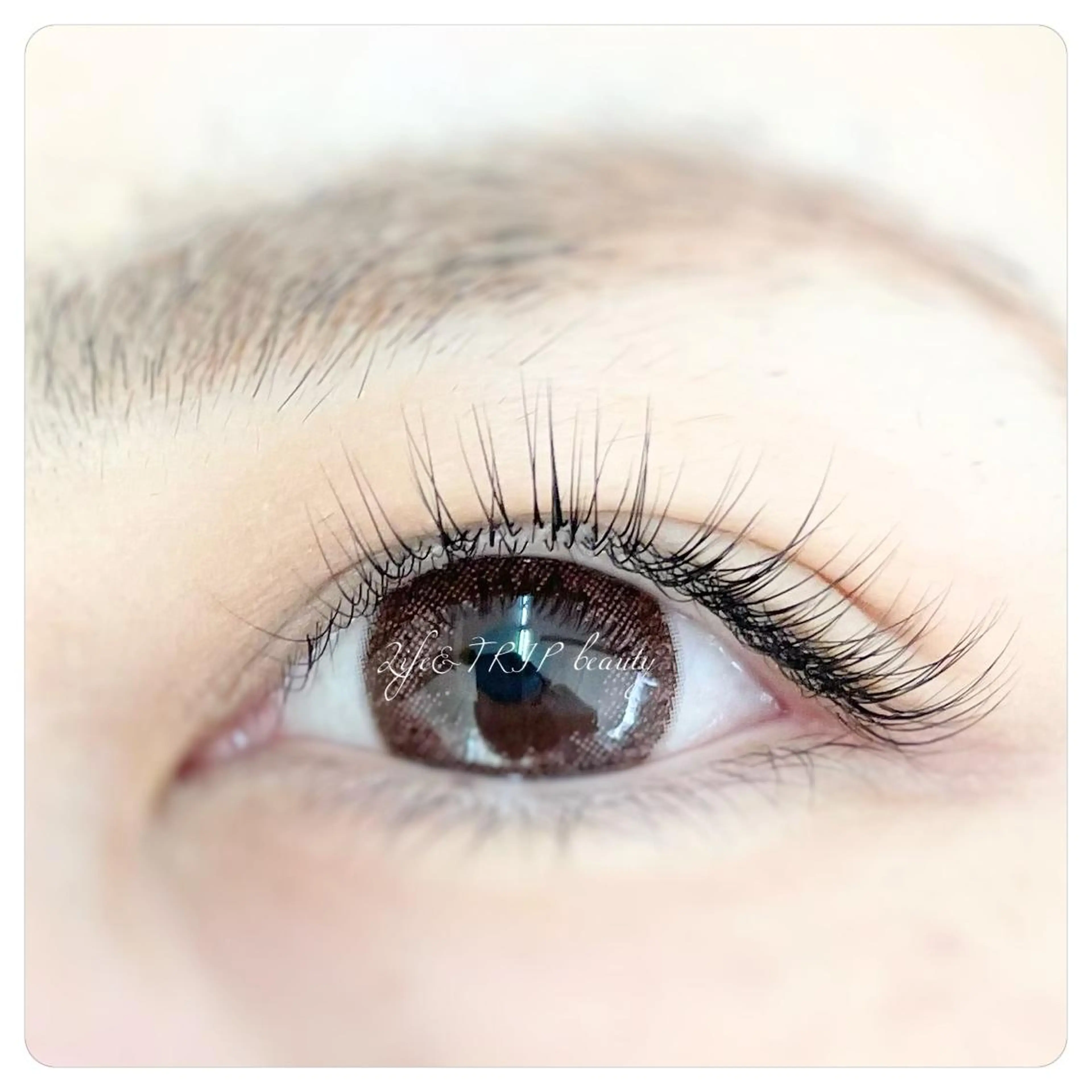 マツエク・マツパ マツパ Life&TRIP beautyのマツエク・マツパデザイン