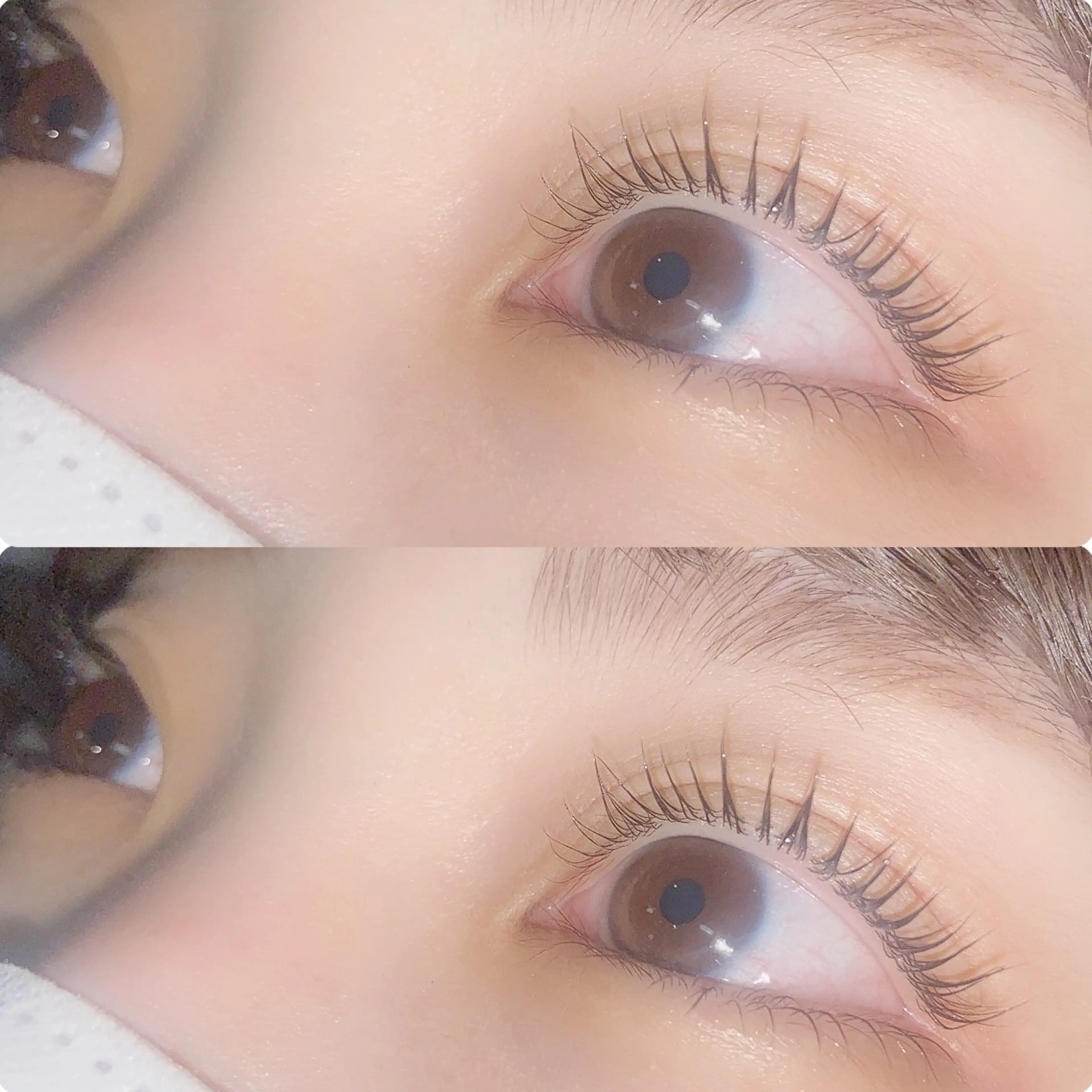 マツエク・マツパ マツパ hikari 🌻*.ﾟのマツエク・マツパデザイン