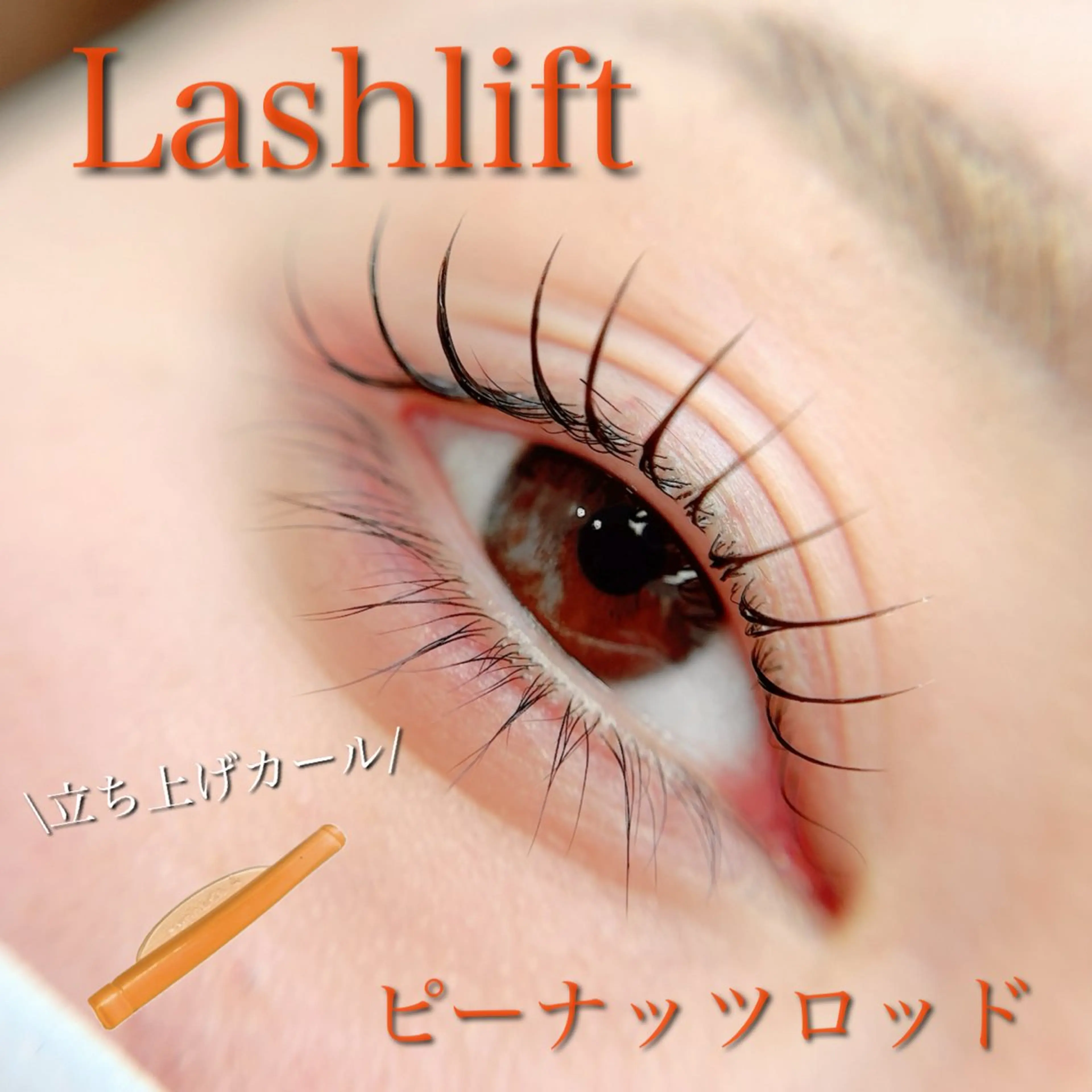 マツエク・マツパ Maile leaf 【マイレリーフ】のマツエク・マツパデザイン