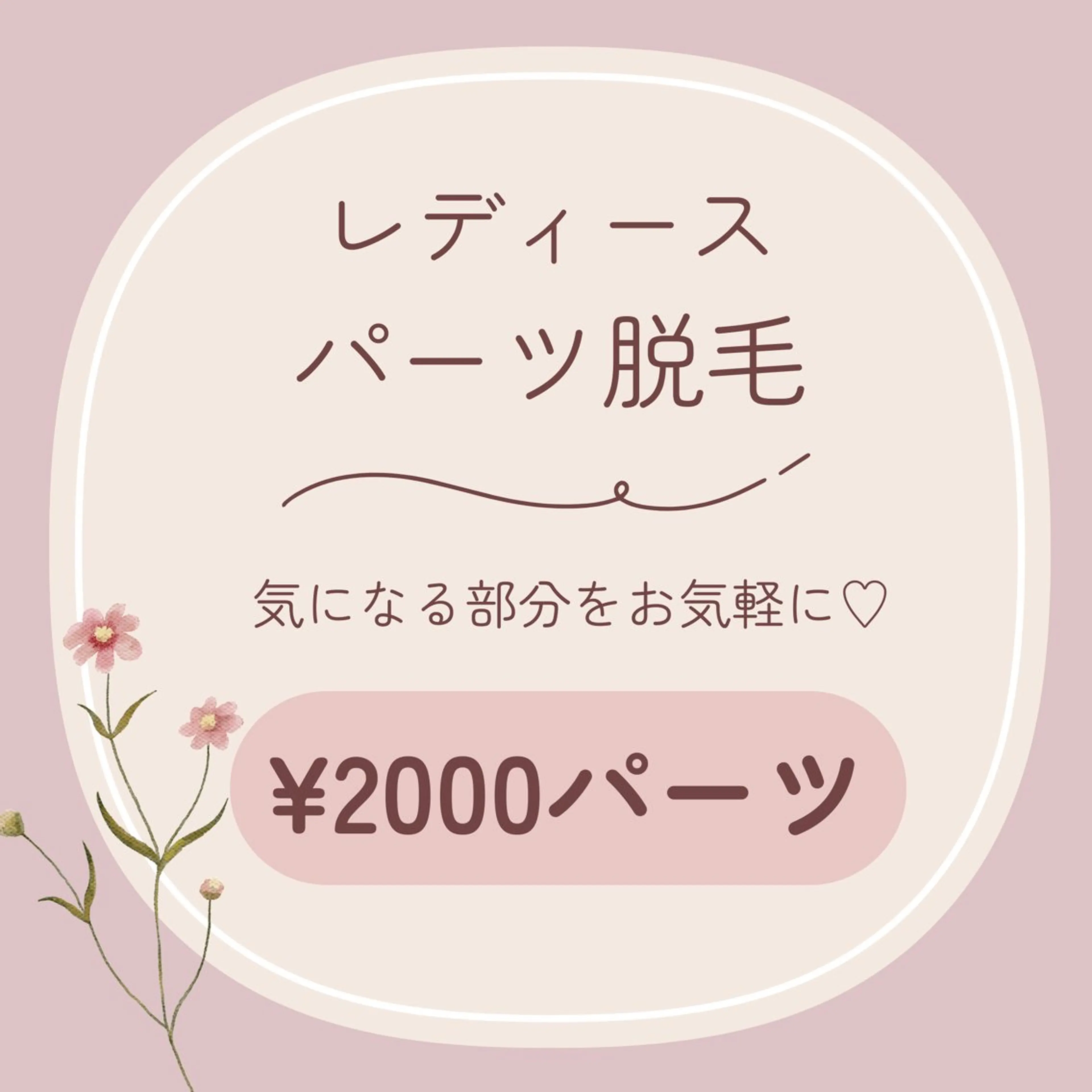 レディース┊ パーツ脱毛┊ 各¥2000パーツの写真