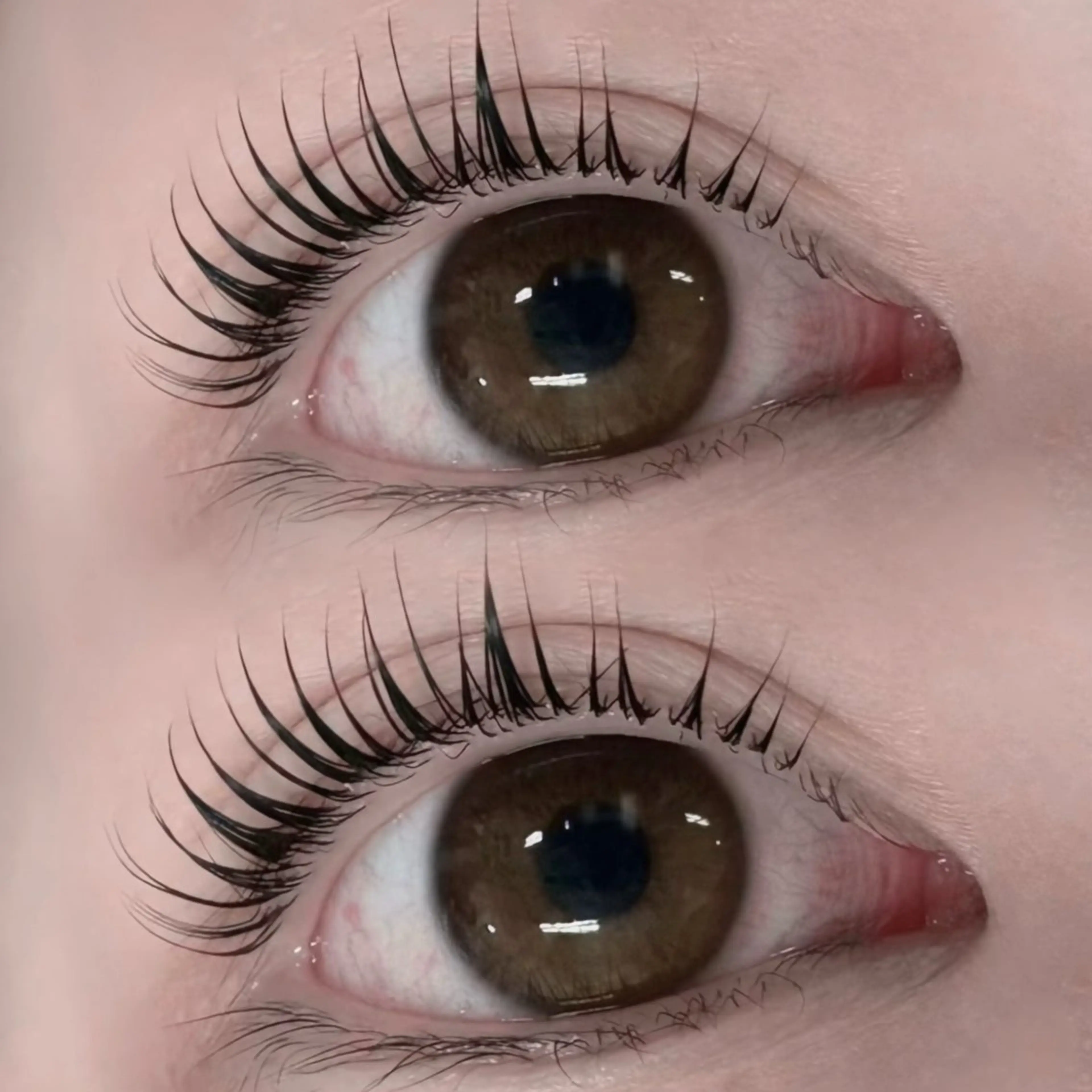 🌟上まつ毛パーマ無料レッスンモデル募集🌟オフ無しのみ🚨カルテ記入の為3分前来店必須🚨の写真