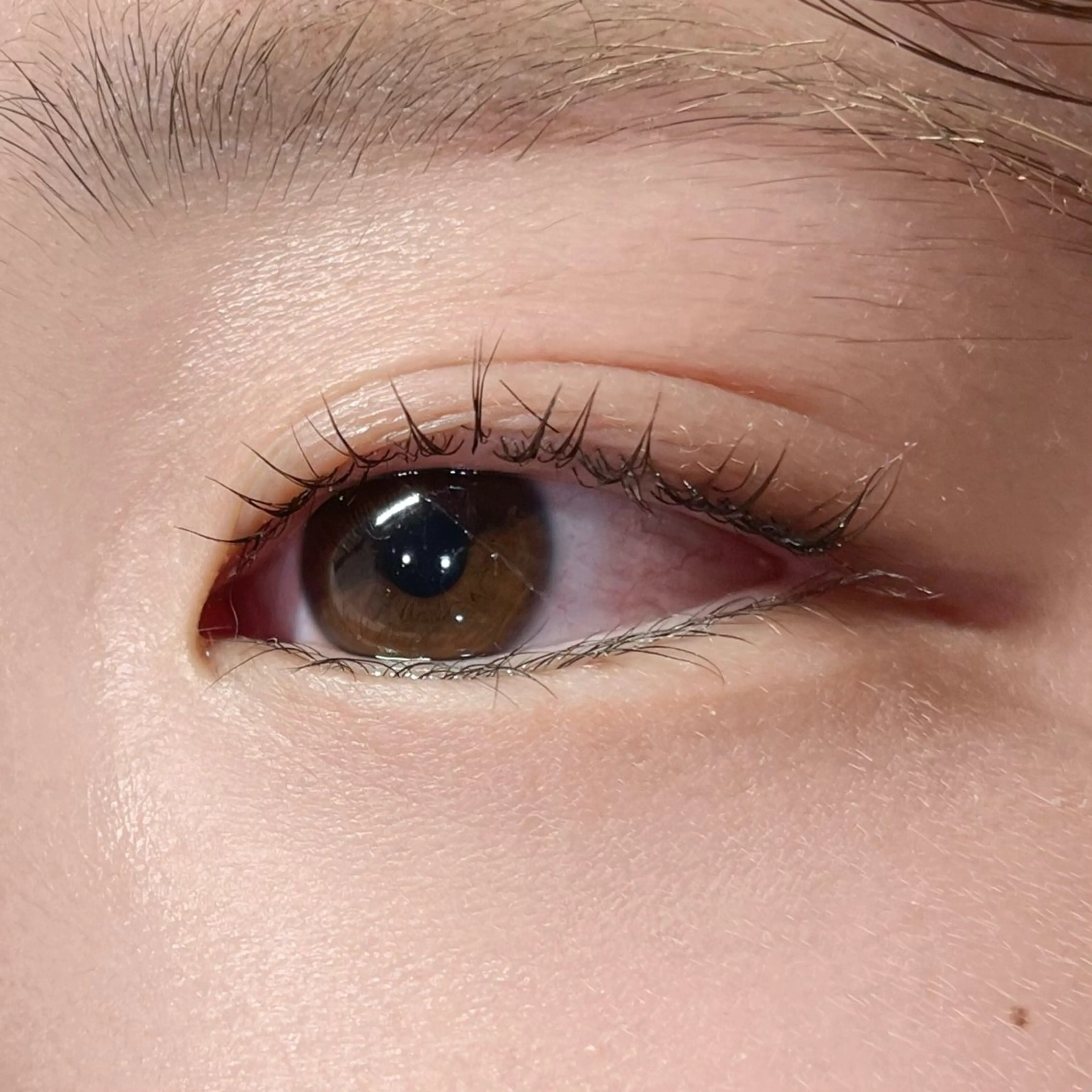 マツエク・マツパ マツパ 櫻井 怜華のマツエク・マツパデザイン