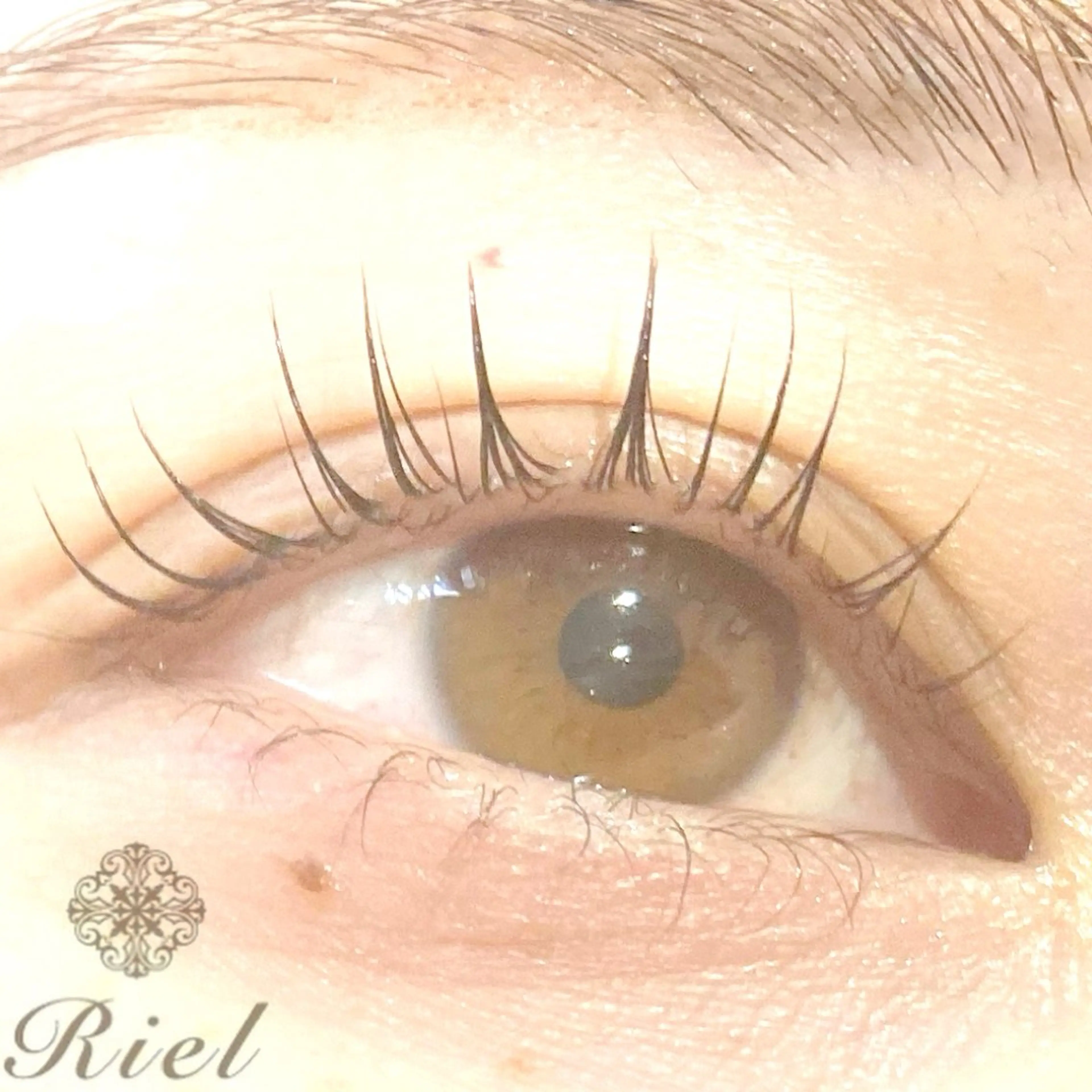 マツエク・マツパ 一重×まつ毛パーマ マツパ Riel MARIKAのマツエク・マツパデザイン