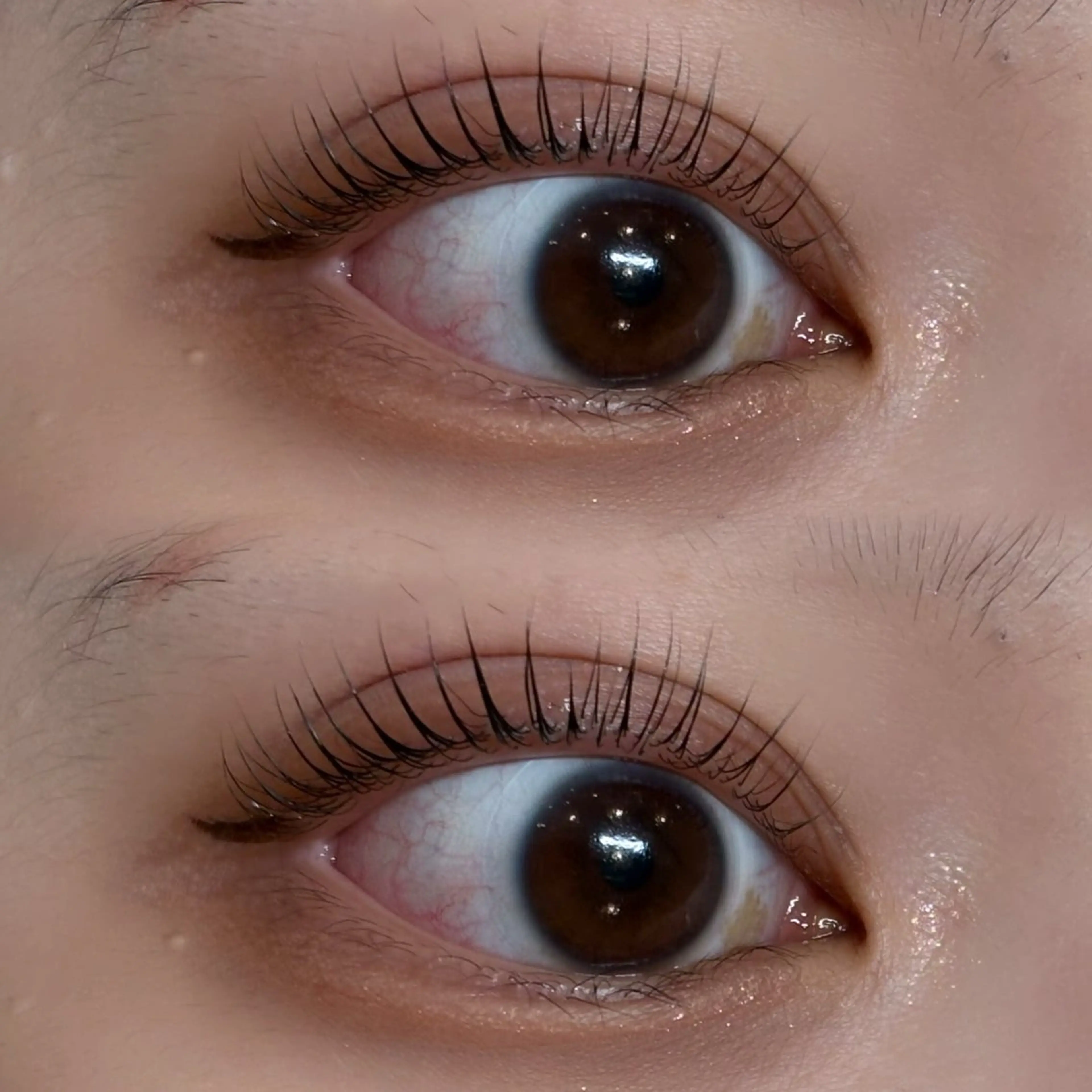 マツエク・マツパ パリジェンヌラッシュリフト アンドヘルシー/束感 /LED🩶MIYUのマツエク・マツパデザイン