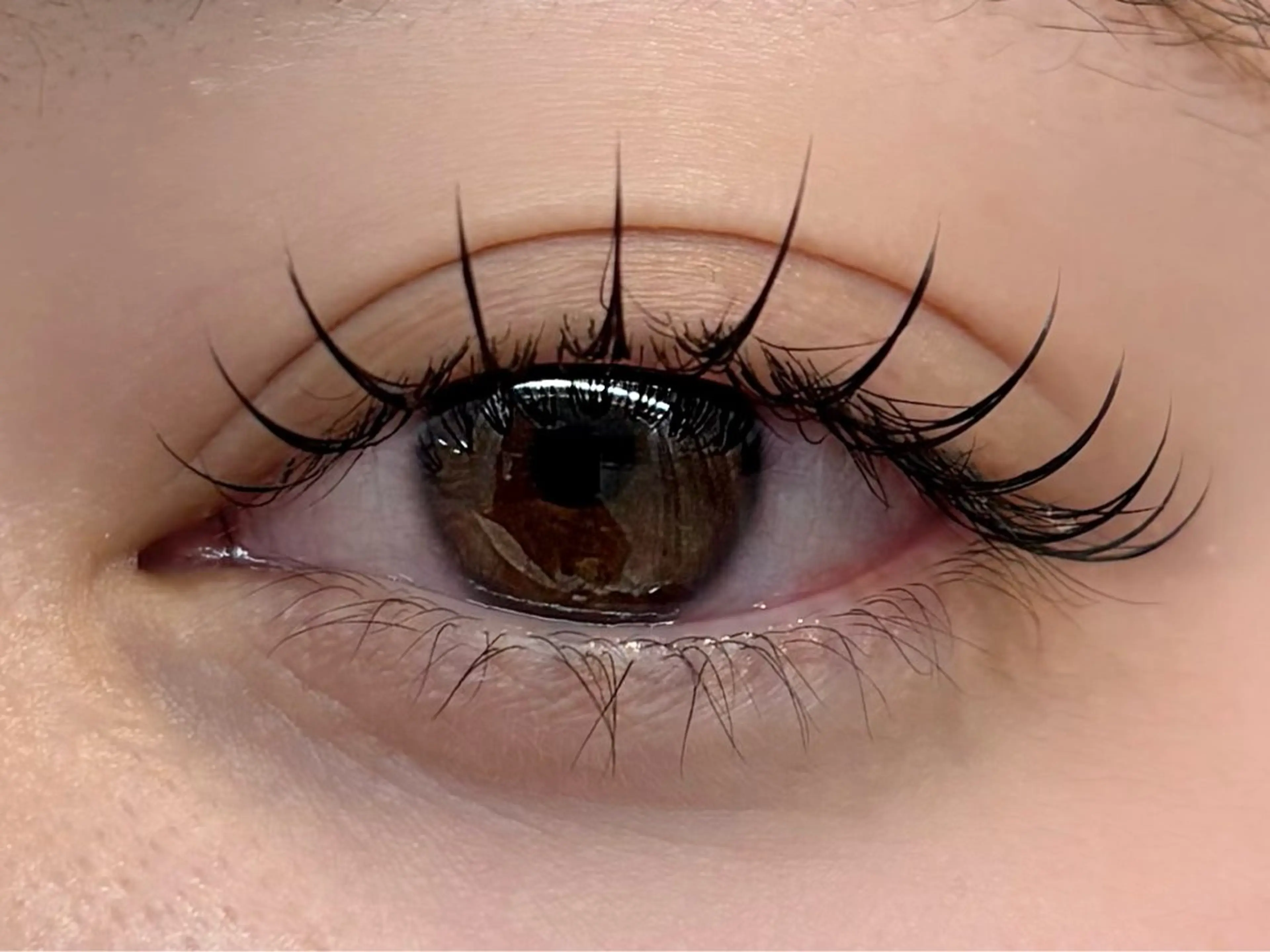 🩵フラットラッシュ エクステ 100本🩵の写真