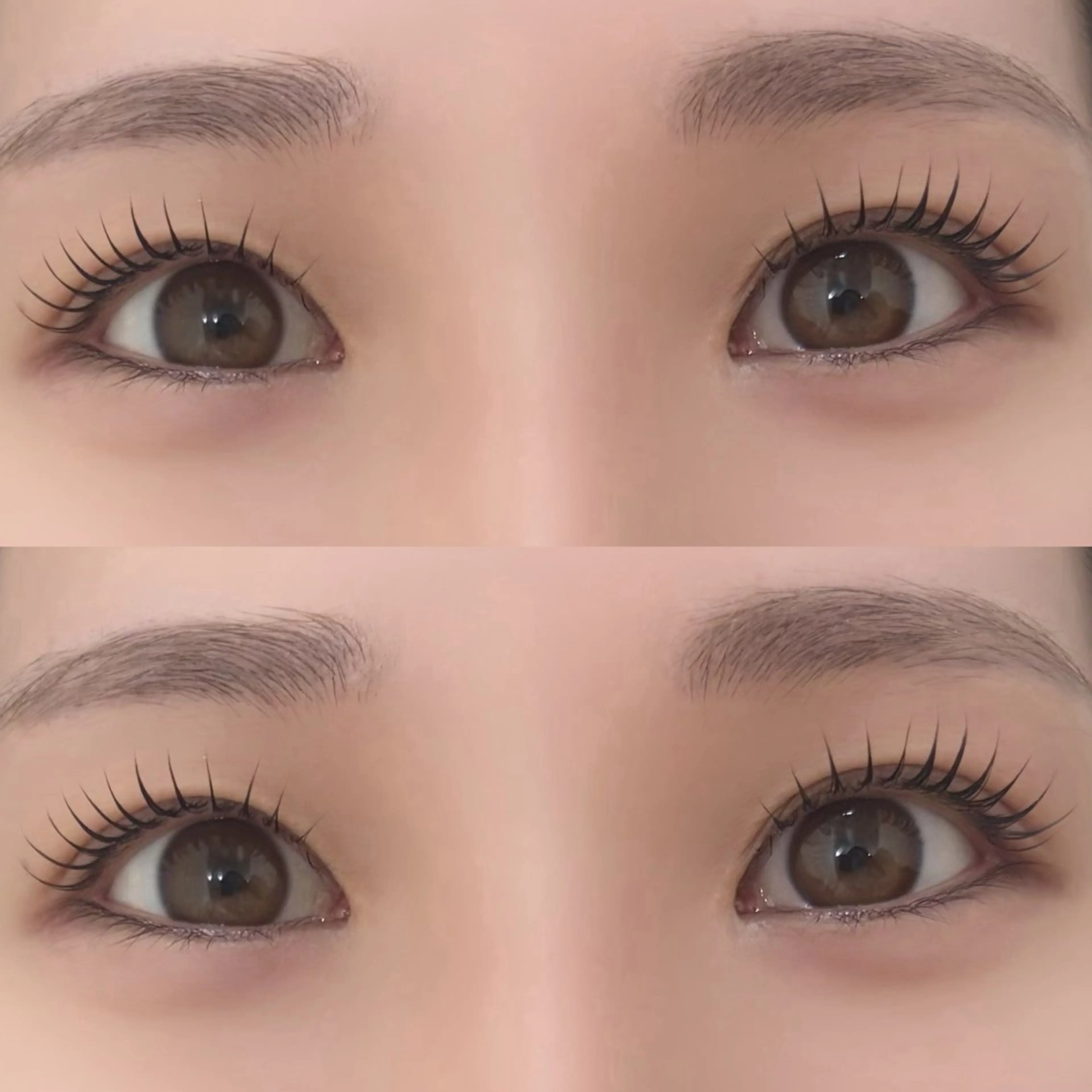 🩵まつげパーマ【アイシャンプー・コーティング付き】の写真