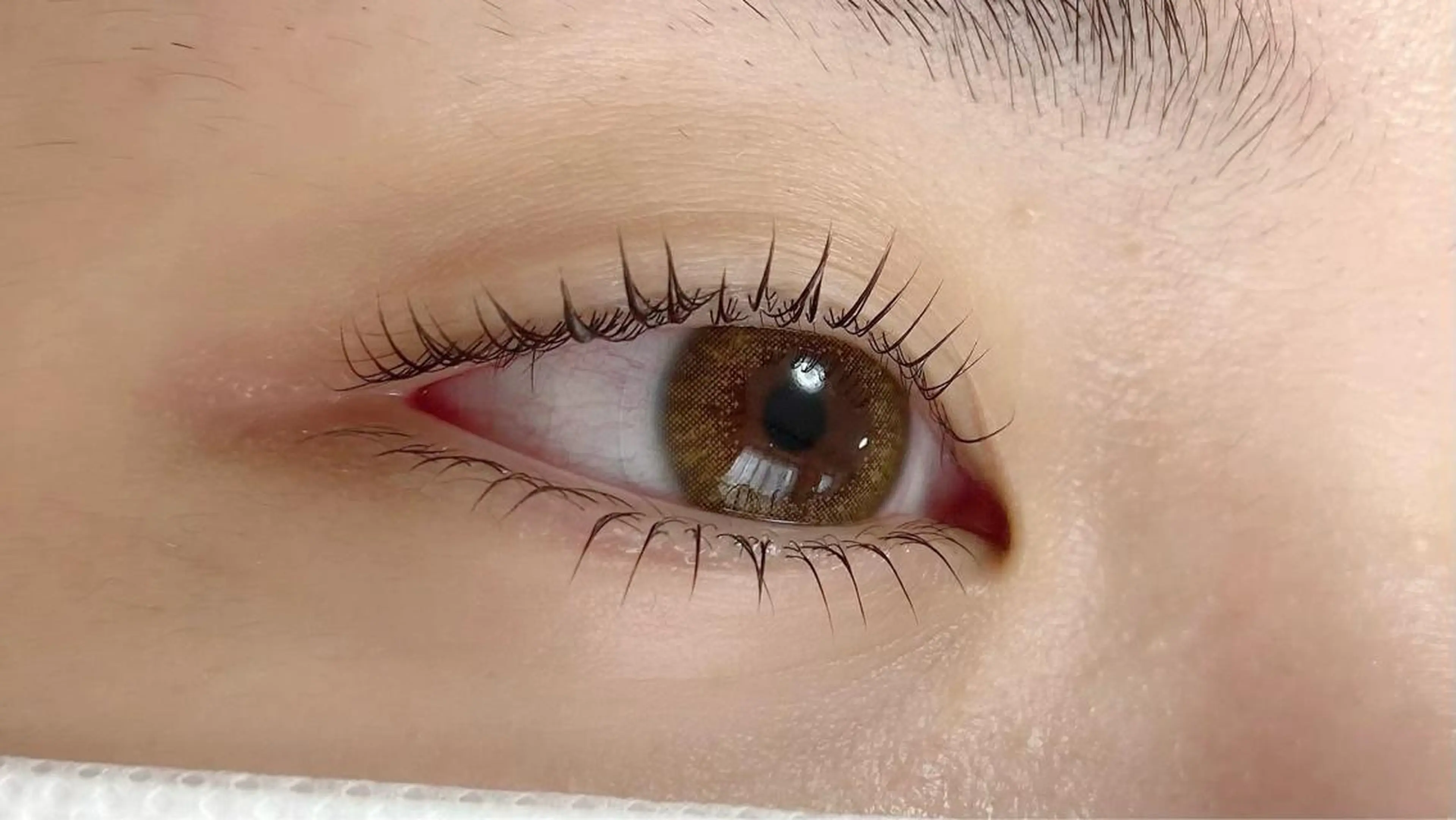 マツエク・マツパ 【那覇/束感まつ毛 /LED】ｷｬﾒﾙのマツエク・マツパデザイン