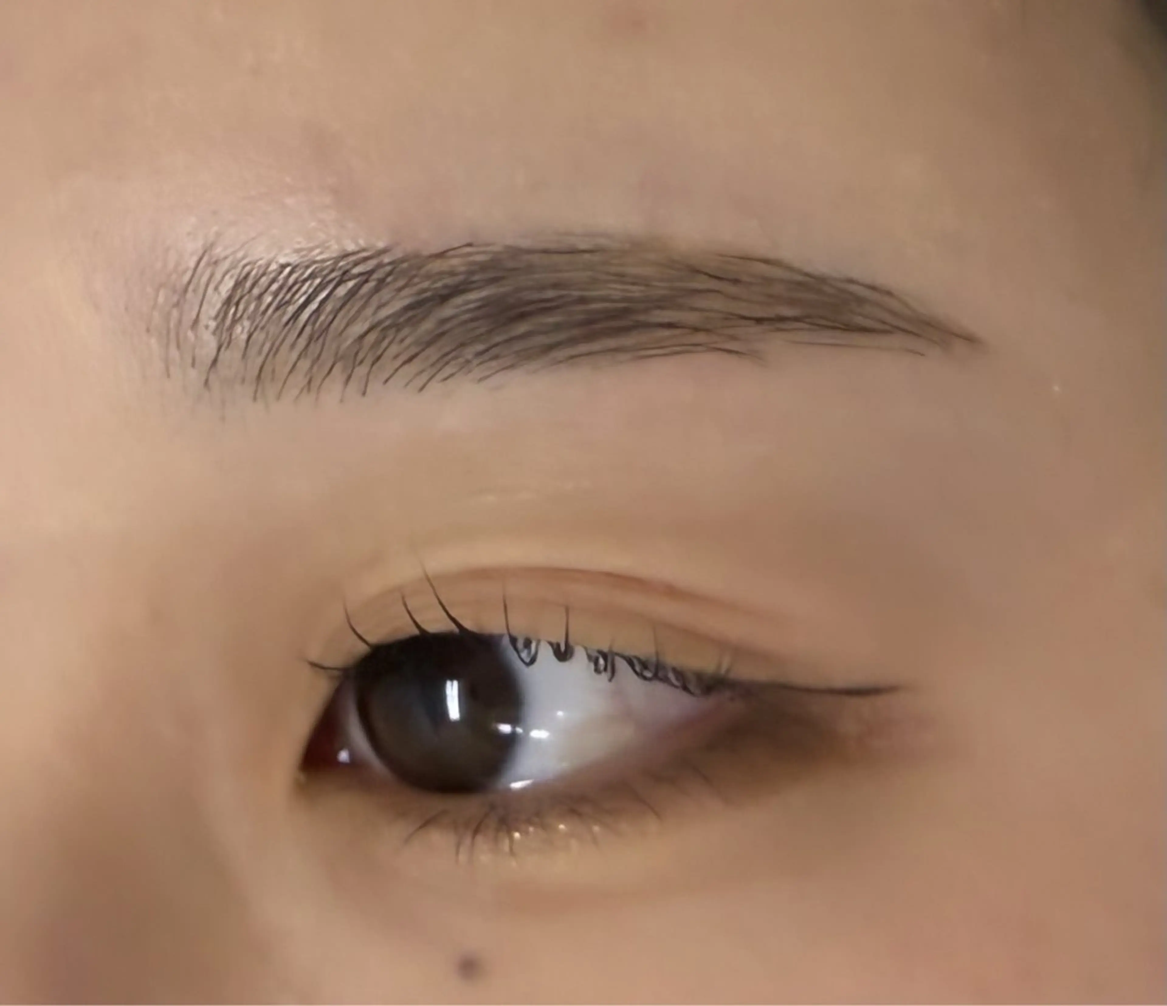 アイブロウ ハリウッドブロウリフト Toikawa misuzuのマツエク・マツパデザイン