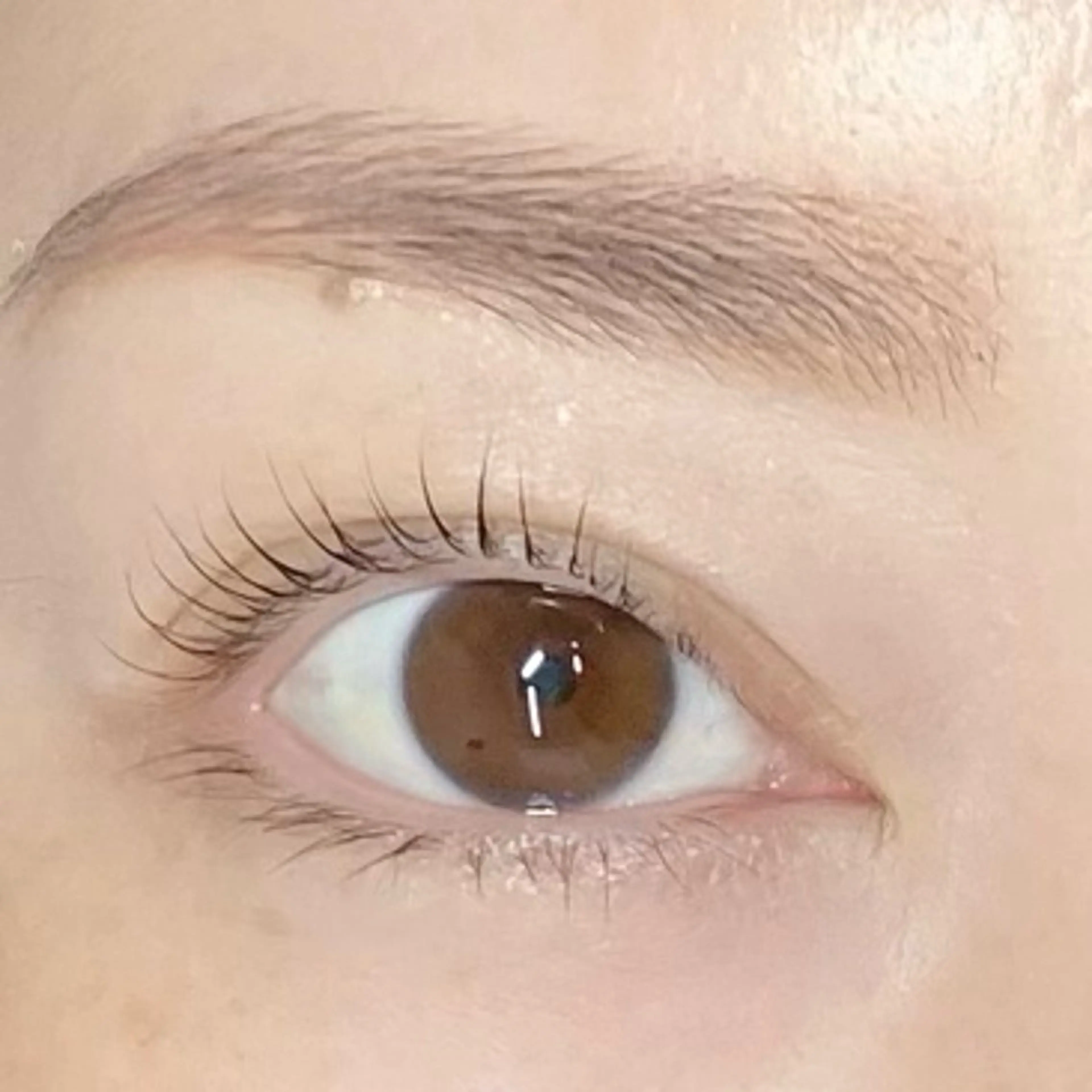 マツエク・マツパ 【ダメージケア特化】 🌸 サクララッシュの眉毛・アイブロウイメージ