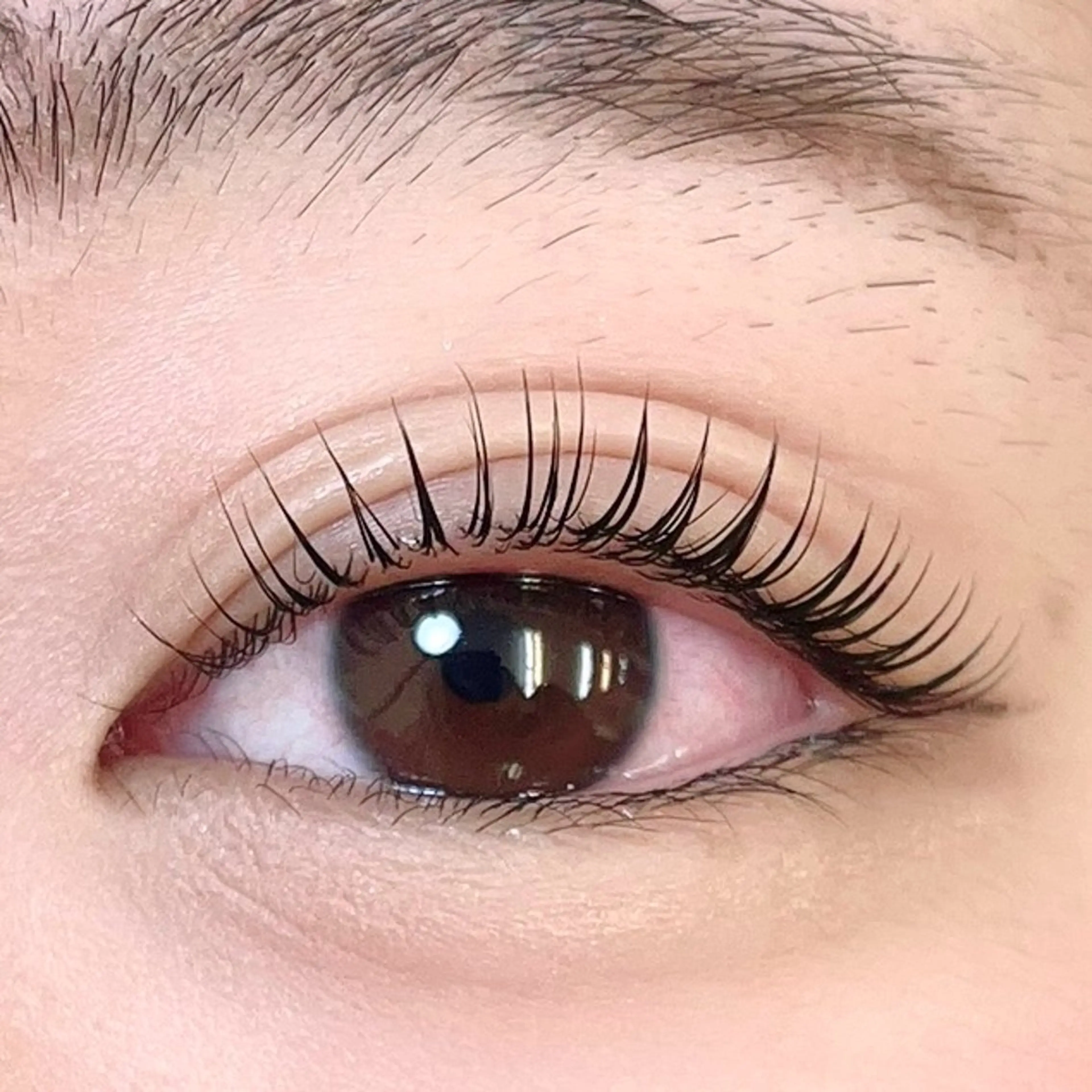 【再来様】コーティング仕上げ付き☆パリジェンヌ/パーマ/韓ドル/メーテルなんでも🉑の写真